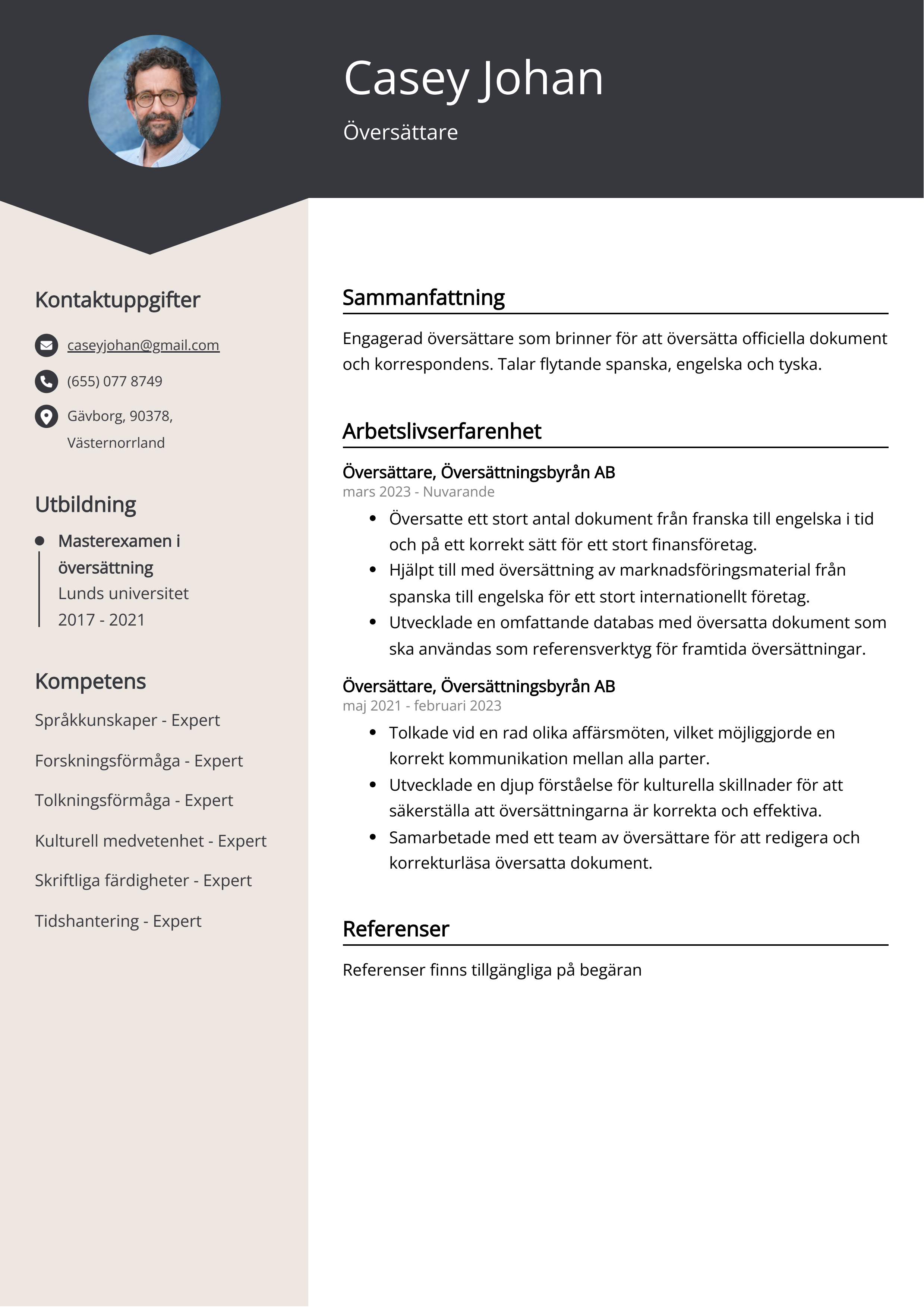 Översättare CV Exempel