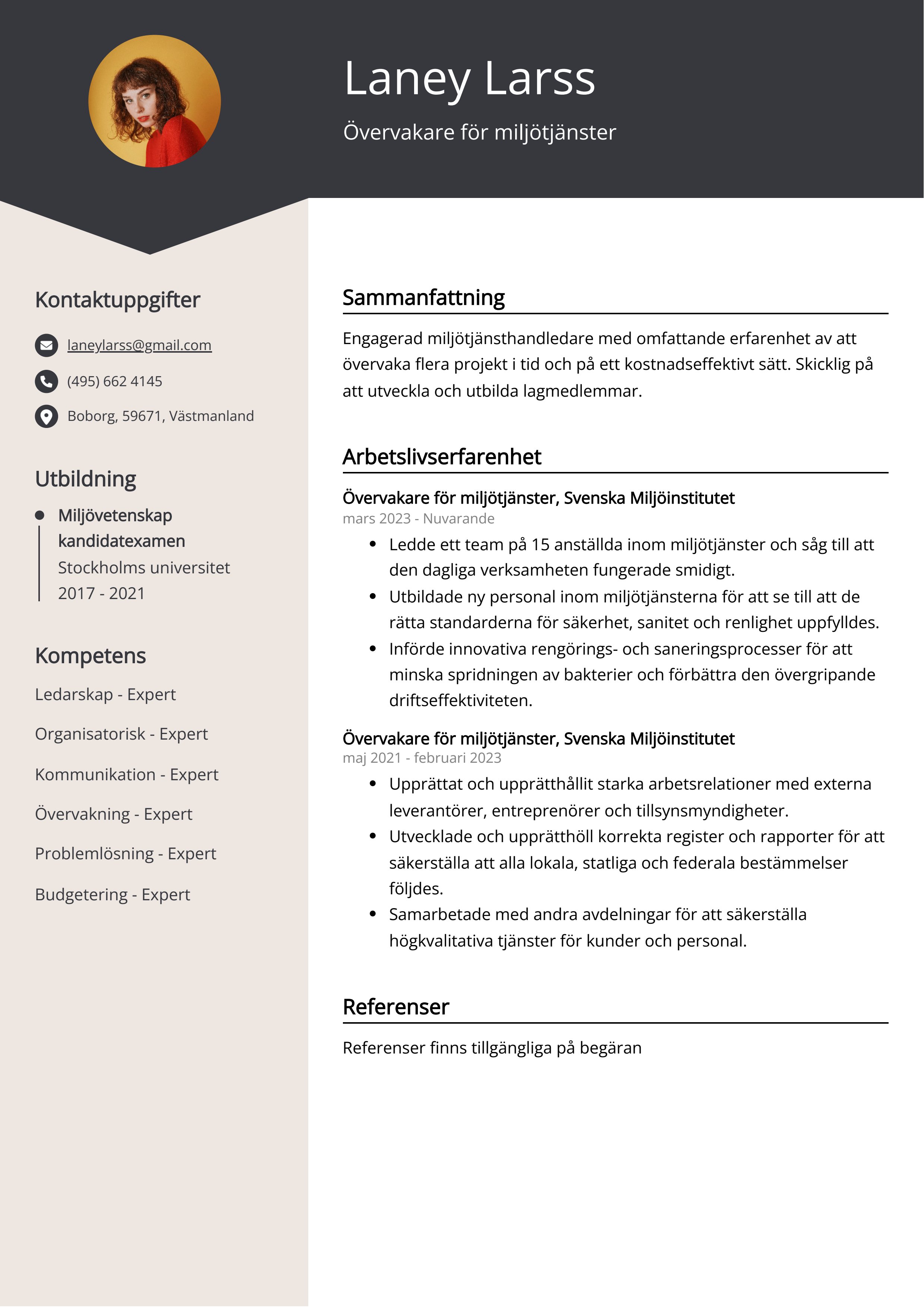 Övervakare för miljötjänster Resumé Exempel