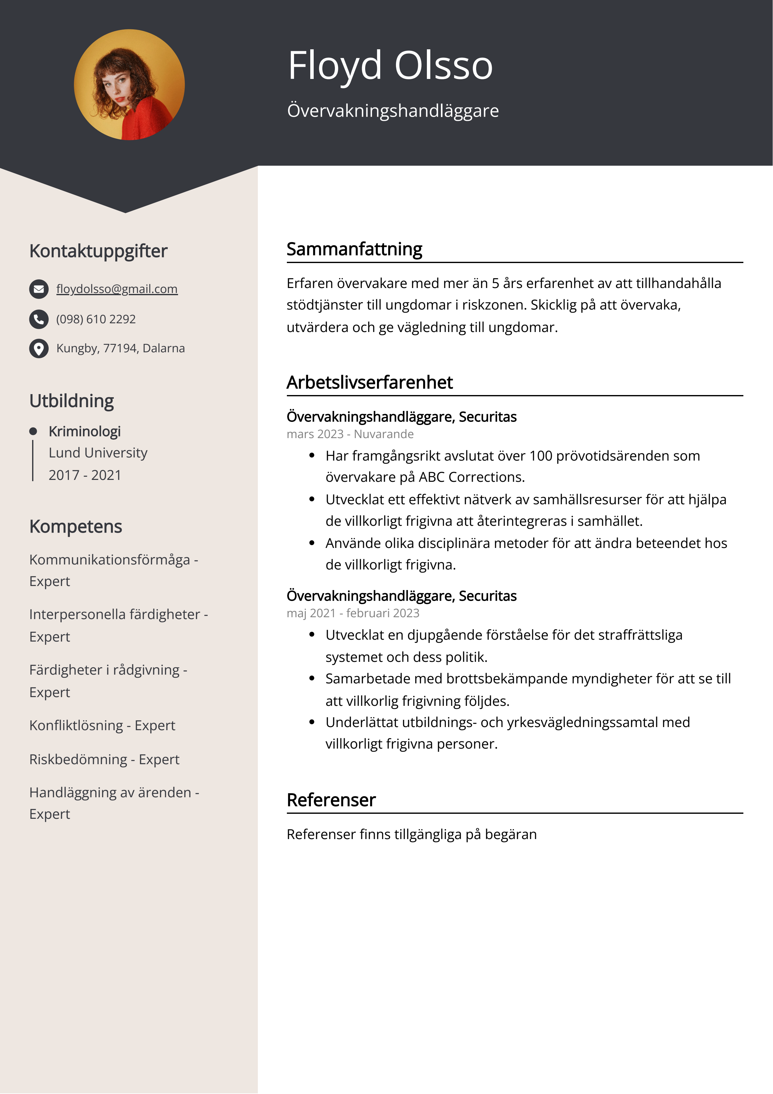 Övervakningshandläggare CV Exempel