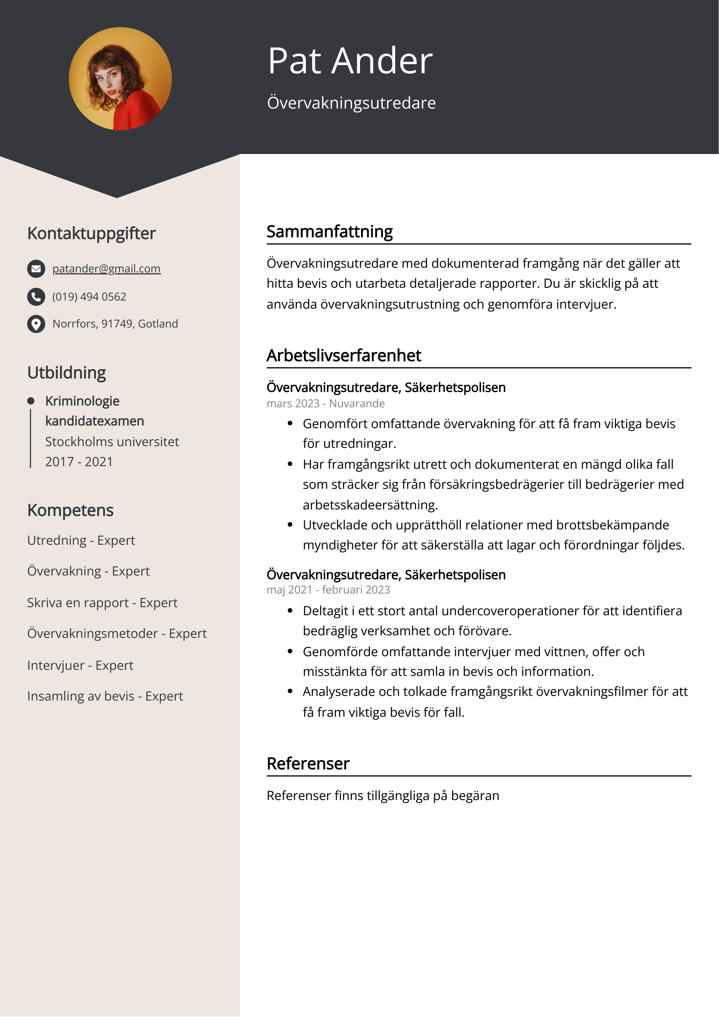 Övervakningsutredare CV Exempel