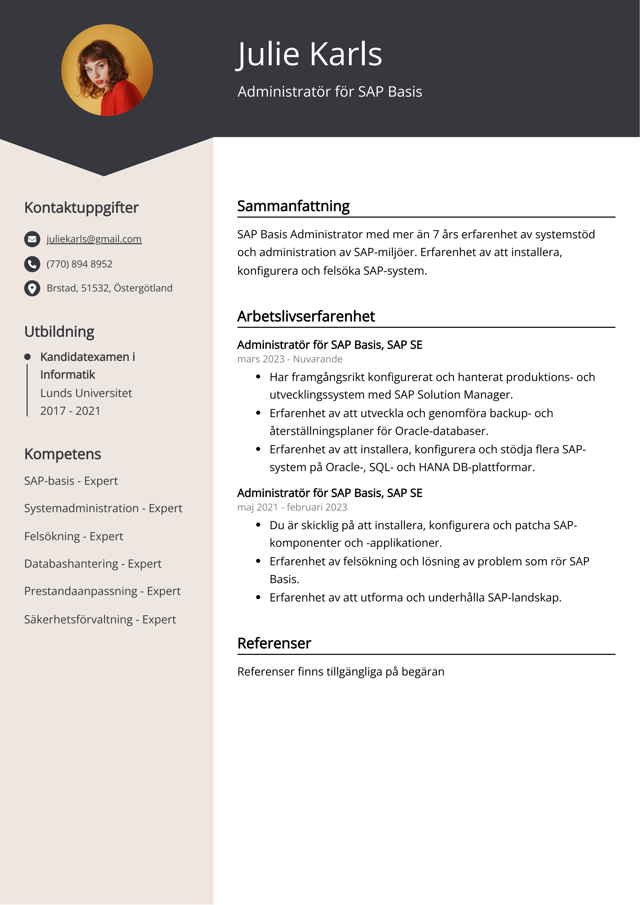 Administratör för SAP Basis CV Exempel