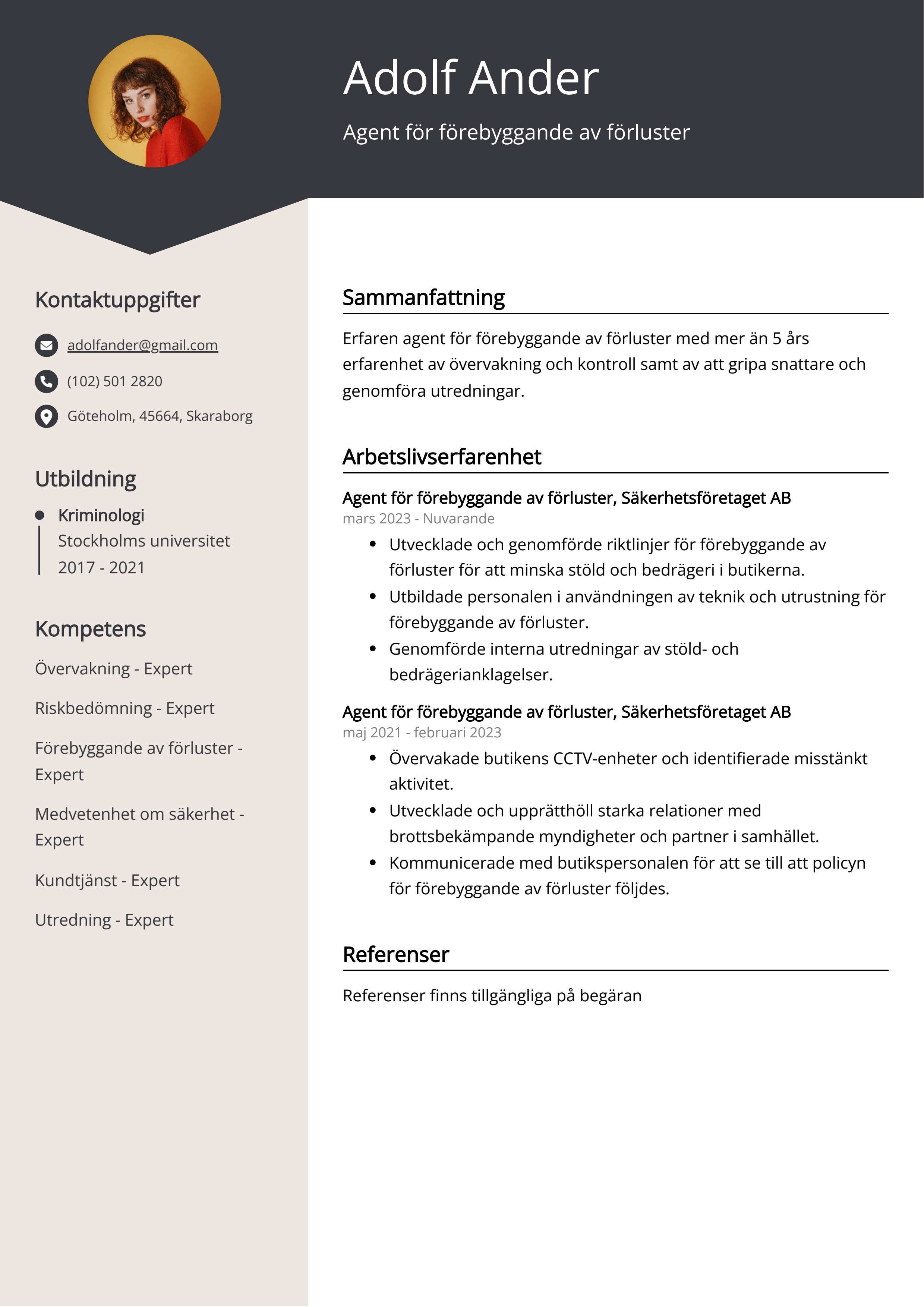 Agent för förebyggande av förluster CV Exempel