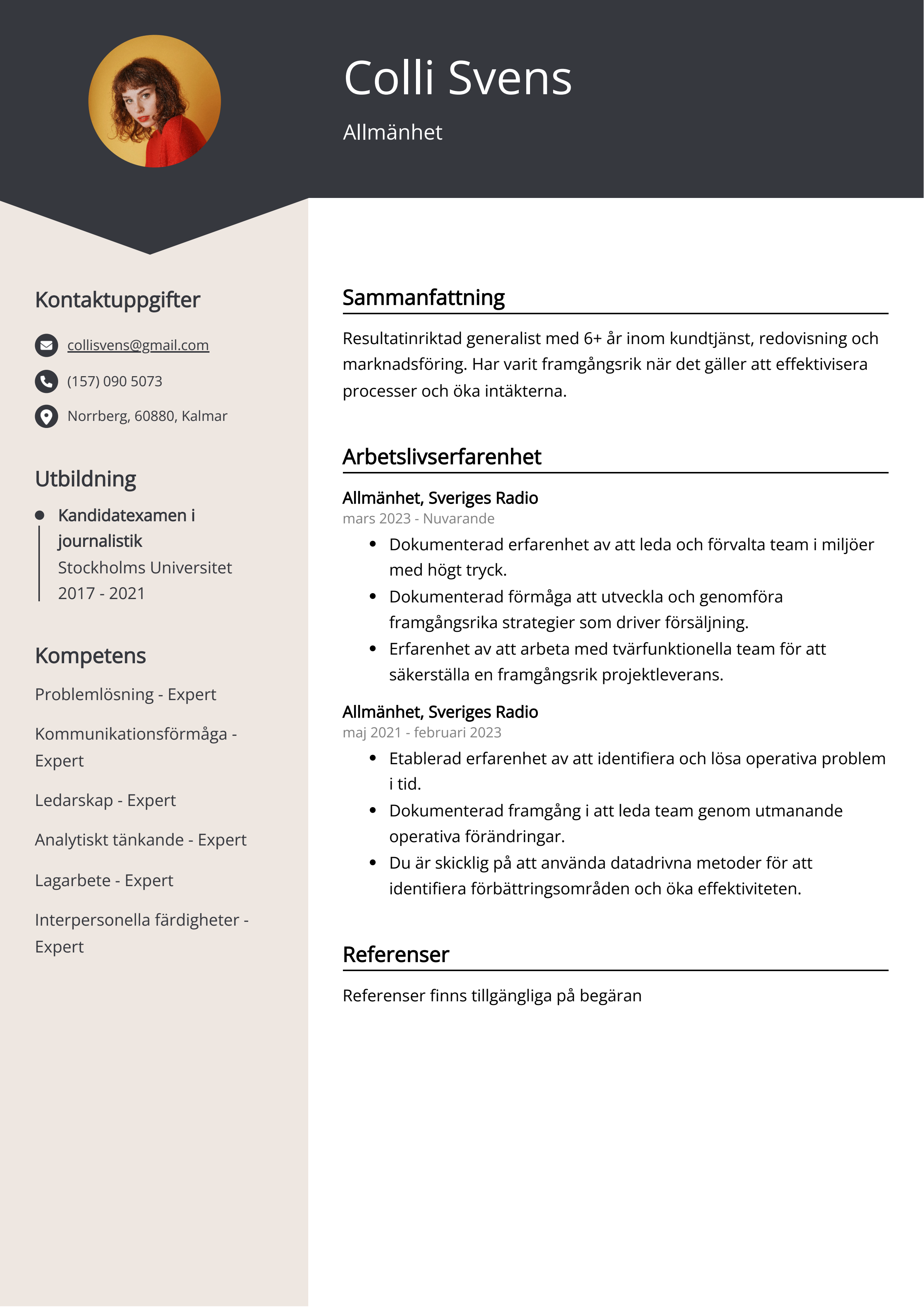 Allmänhet CV exempel