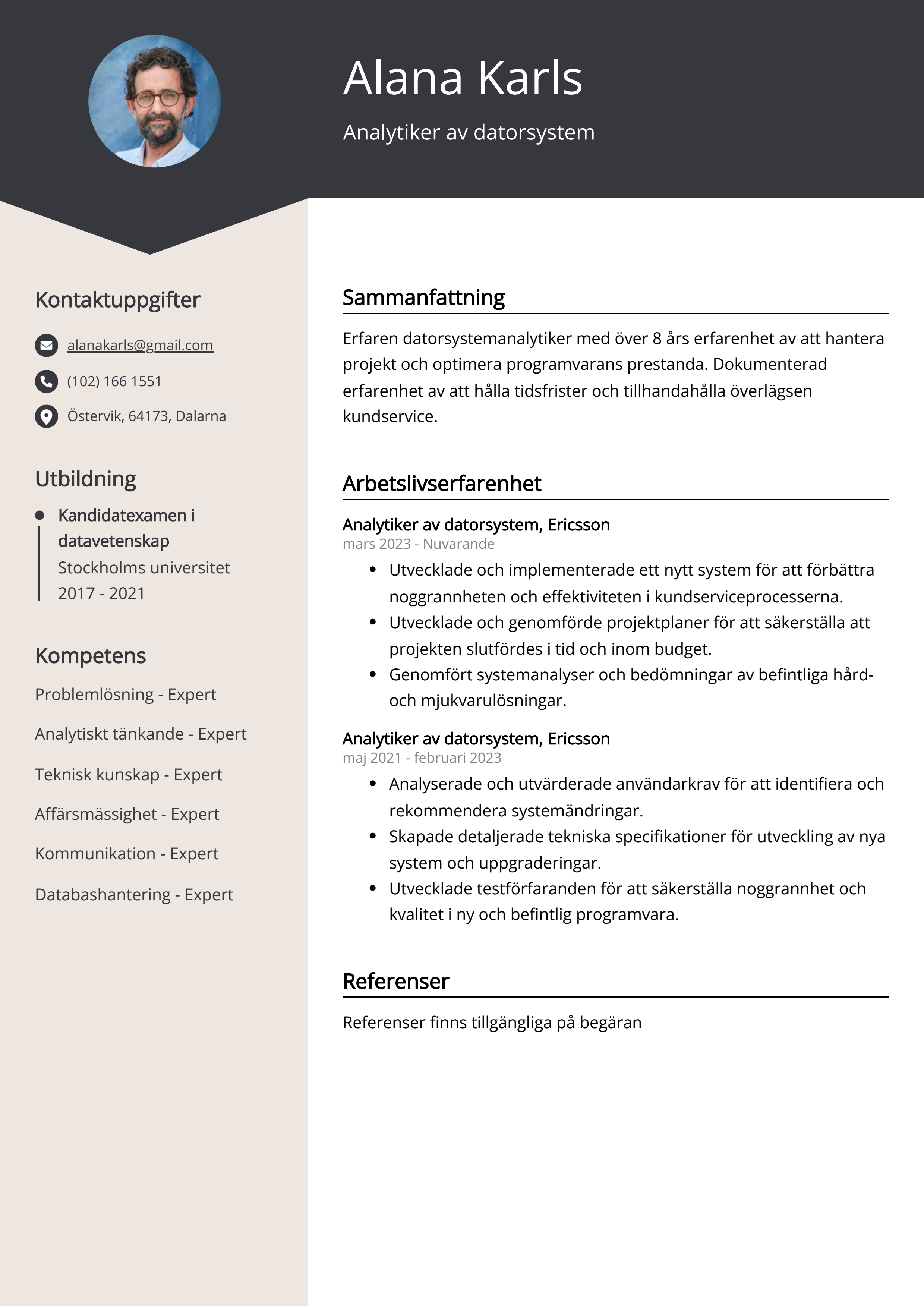 Analytiker av datorsystem CV Exempel