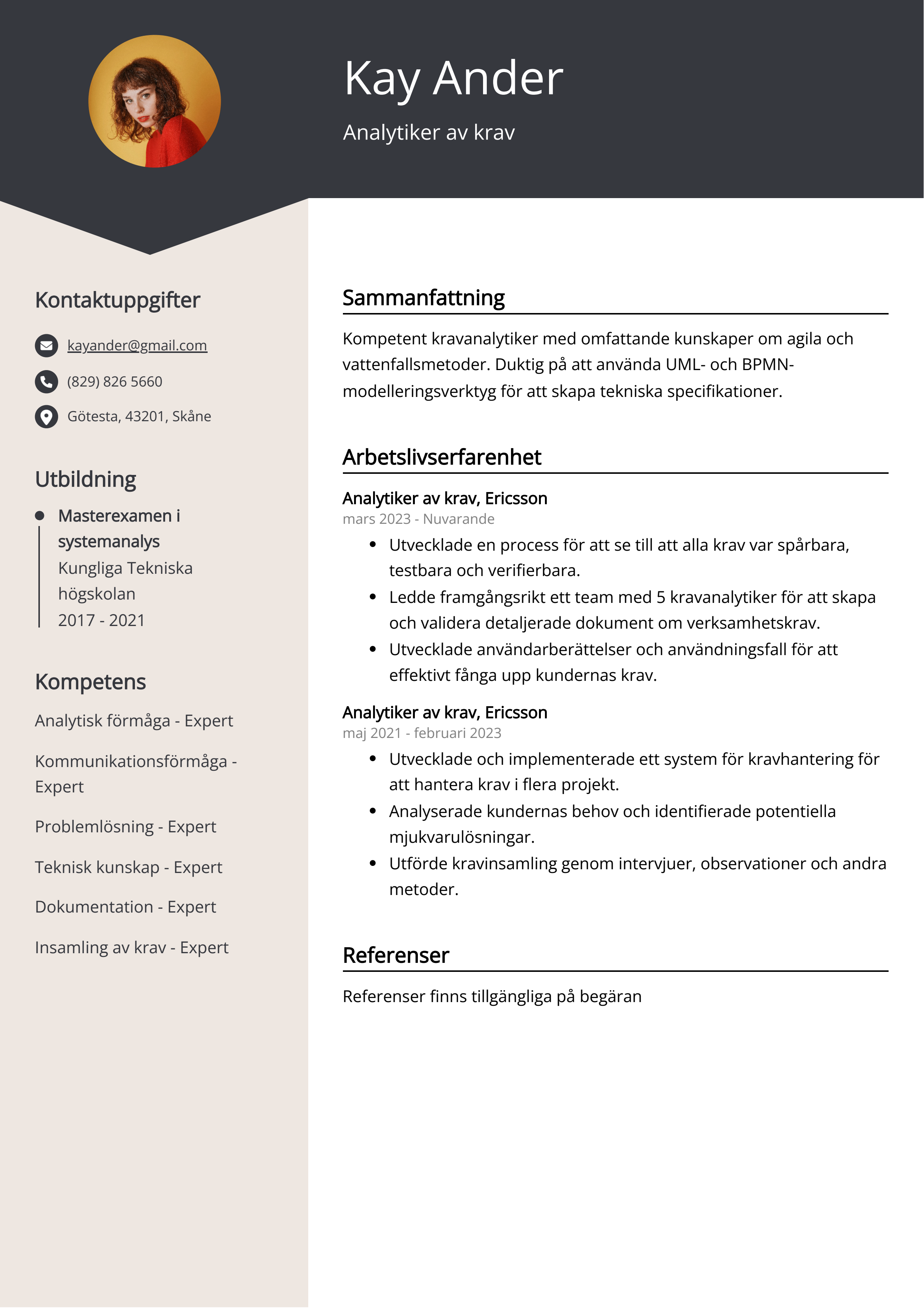 Analytiker av krav Resumé Exempel