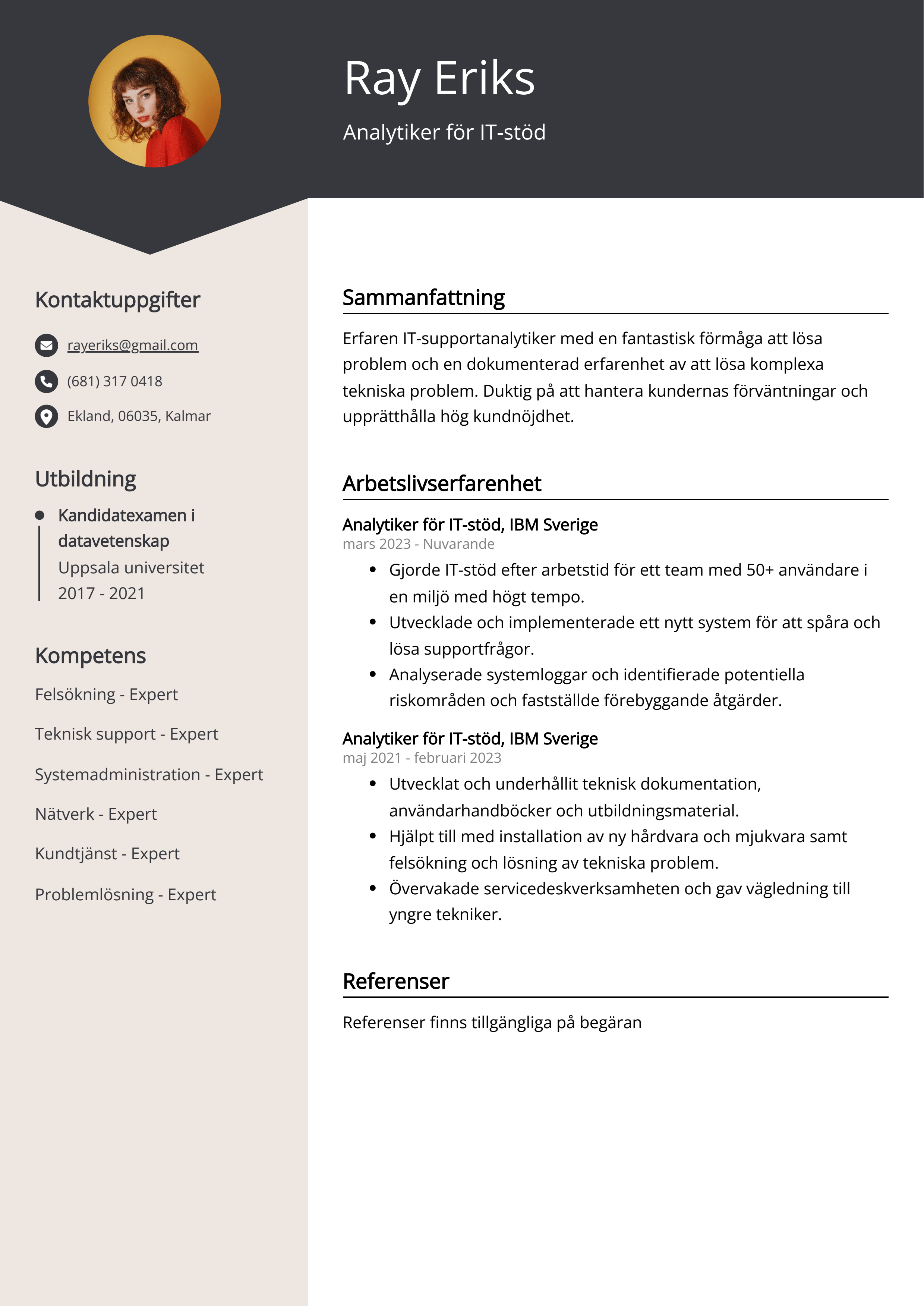 Analytiker för IT-stöd CV Exempel