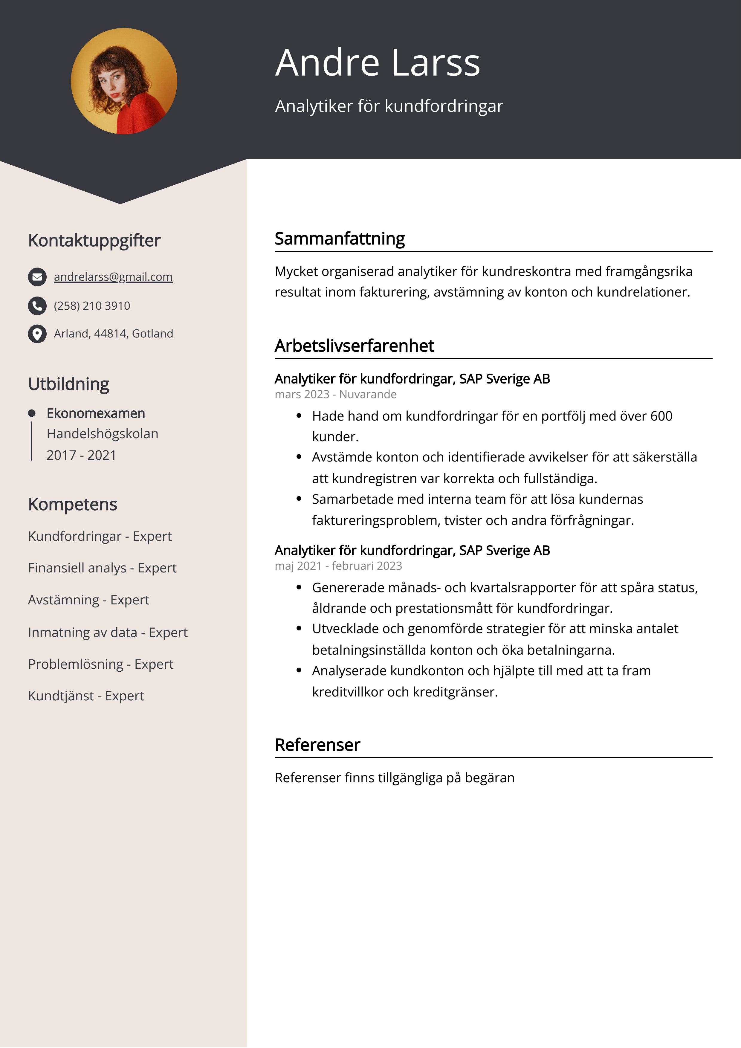 Analytiker för kundfordringar CV Exempel