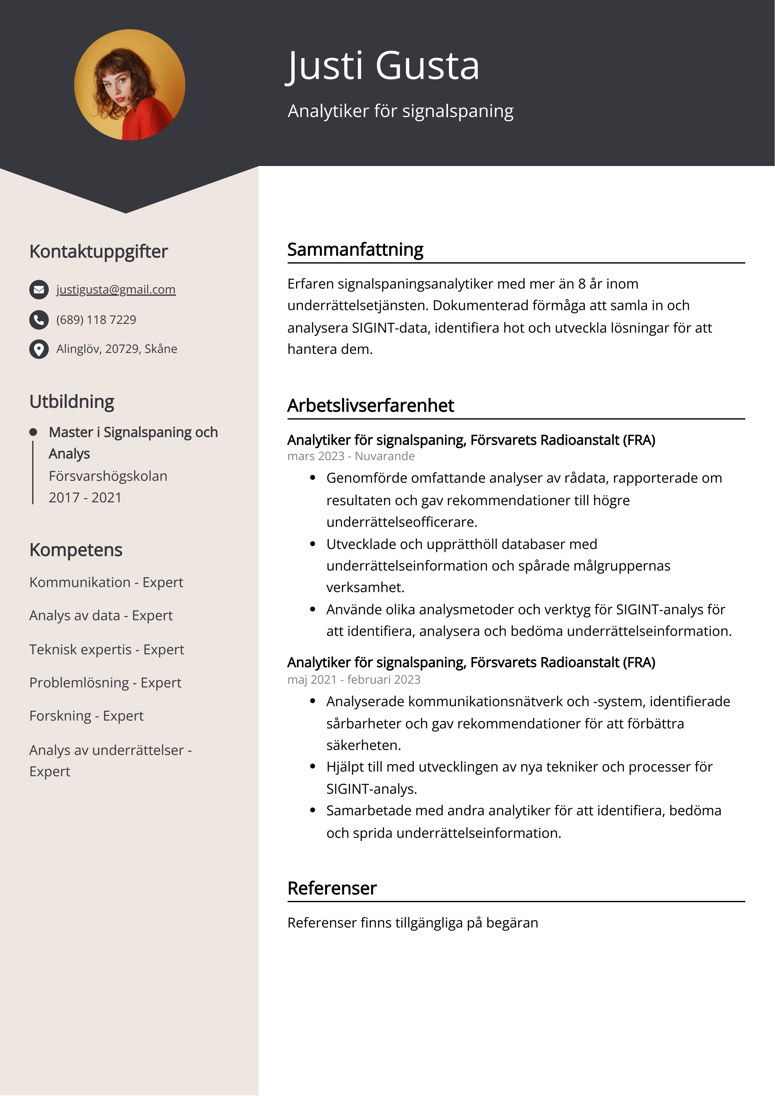 Analytiker för signalspaning CV Exempel