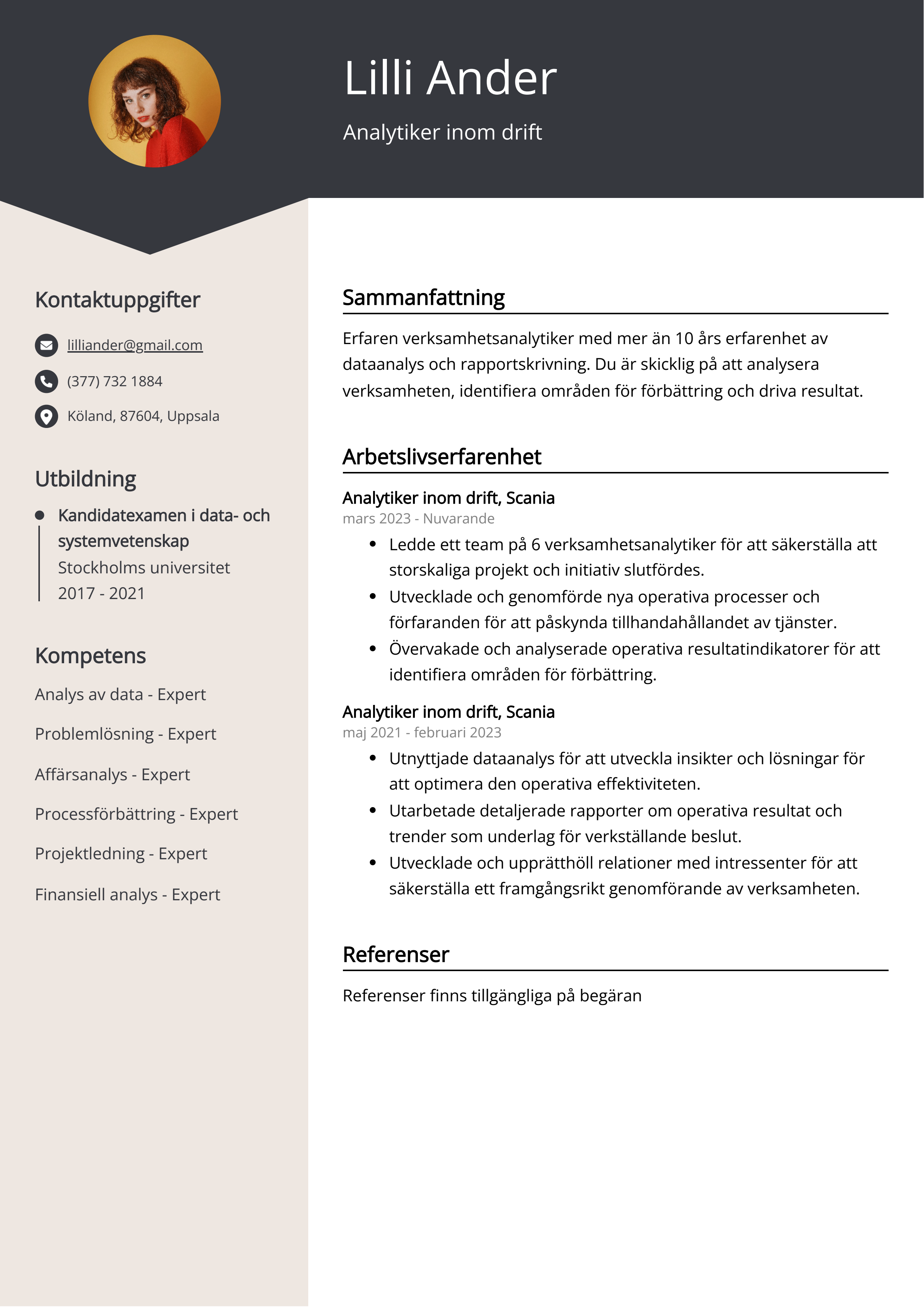 Analytiker inom drift CV Exempel