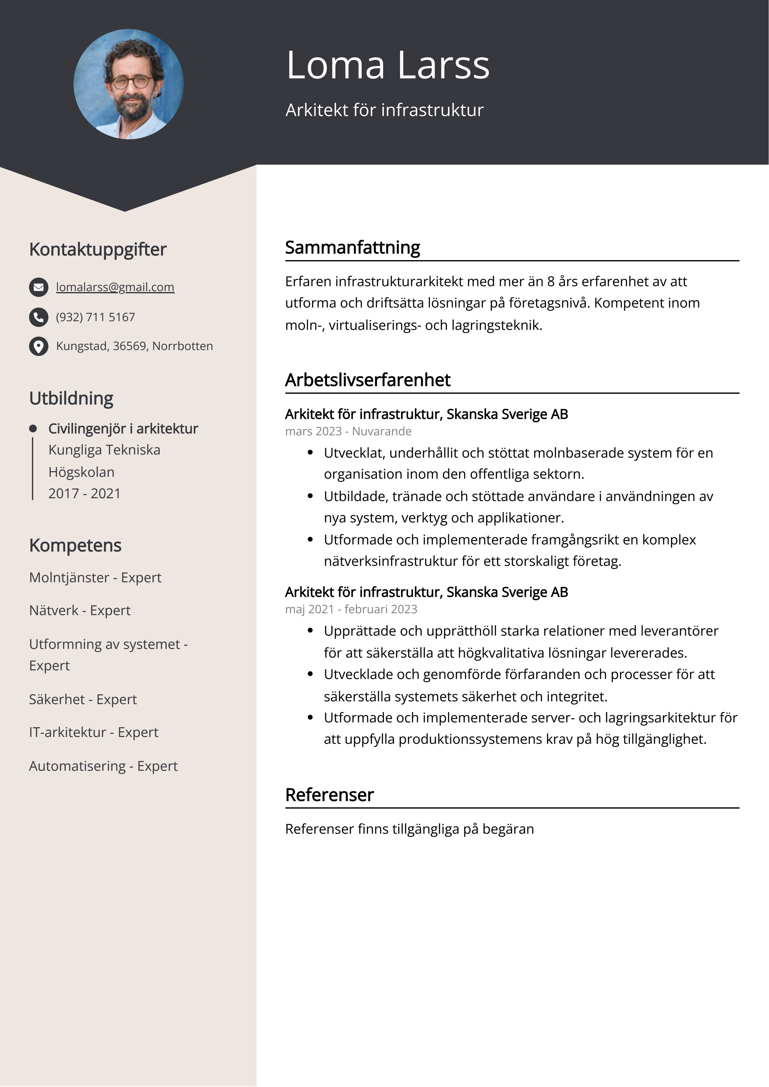 Arkitekt för infrastruktur CV Exempel