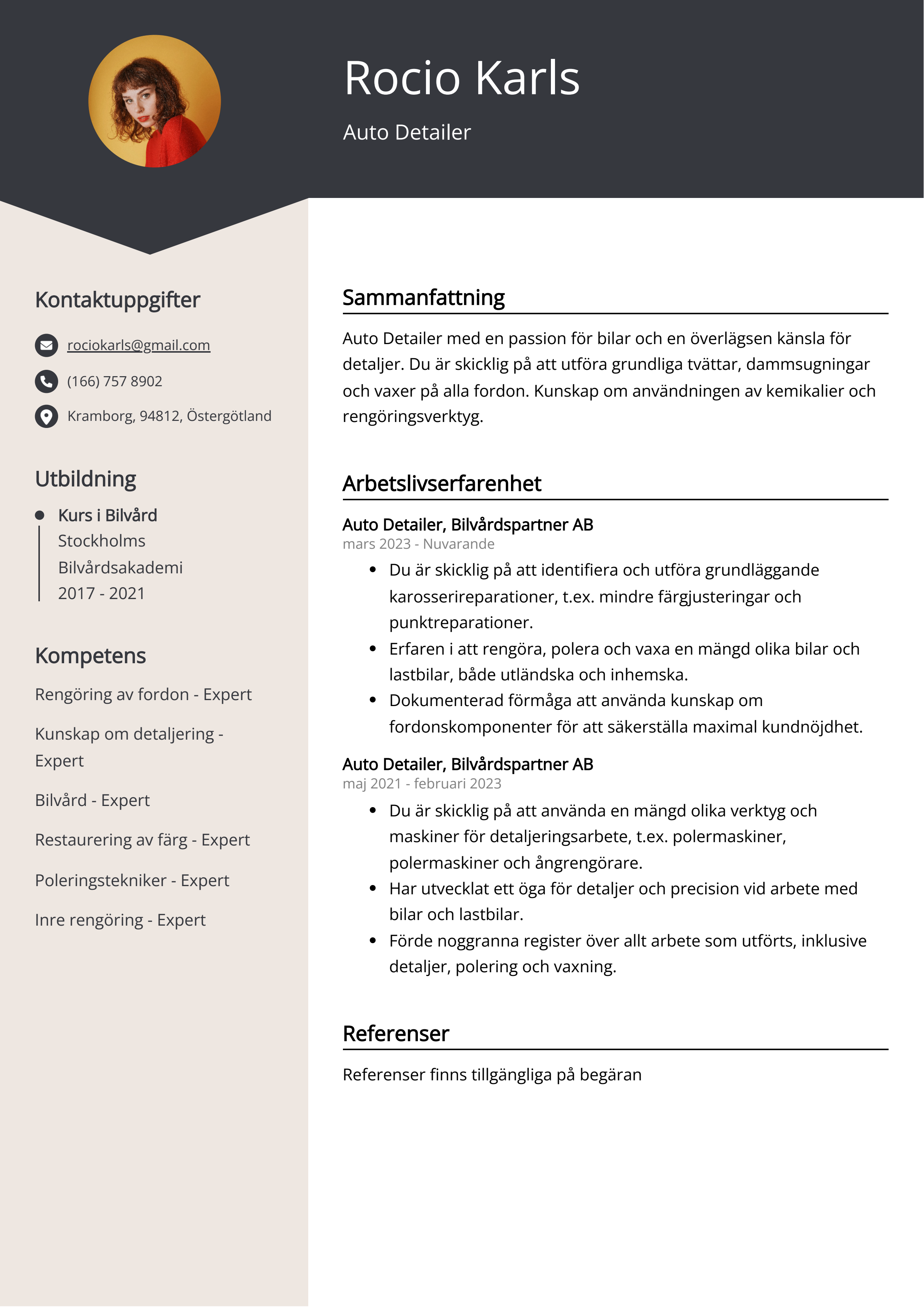 Auto Detailer Exempel på CV