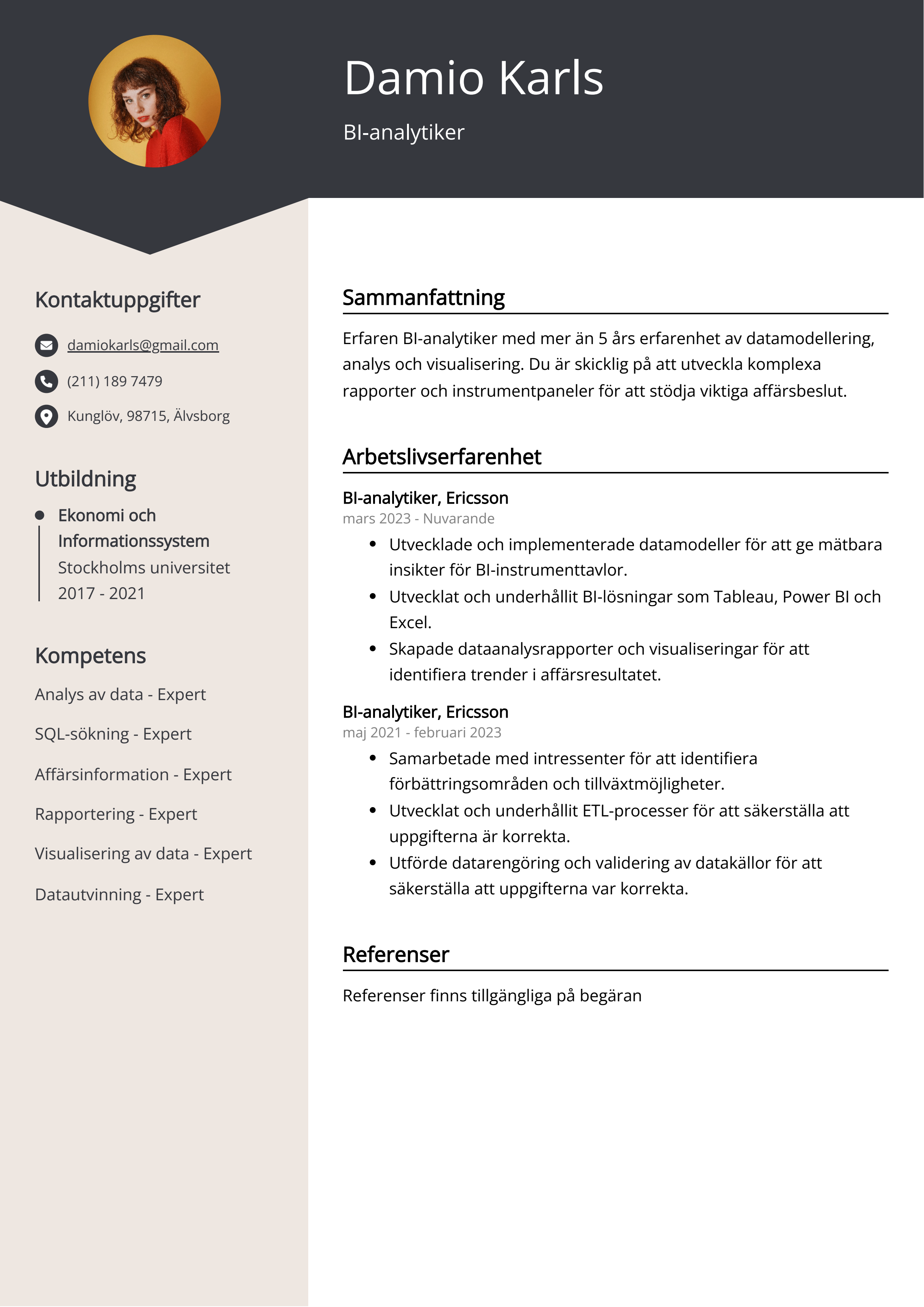 Exempel på CV för BI-analytiker