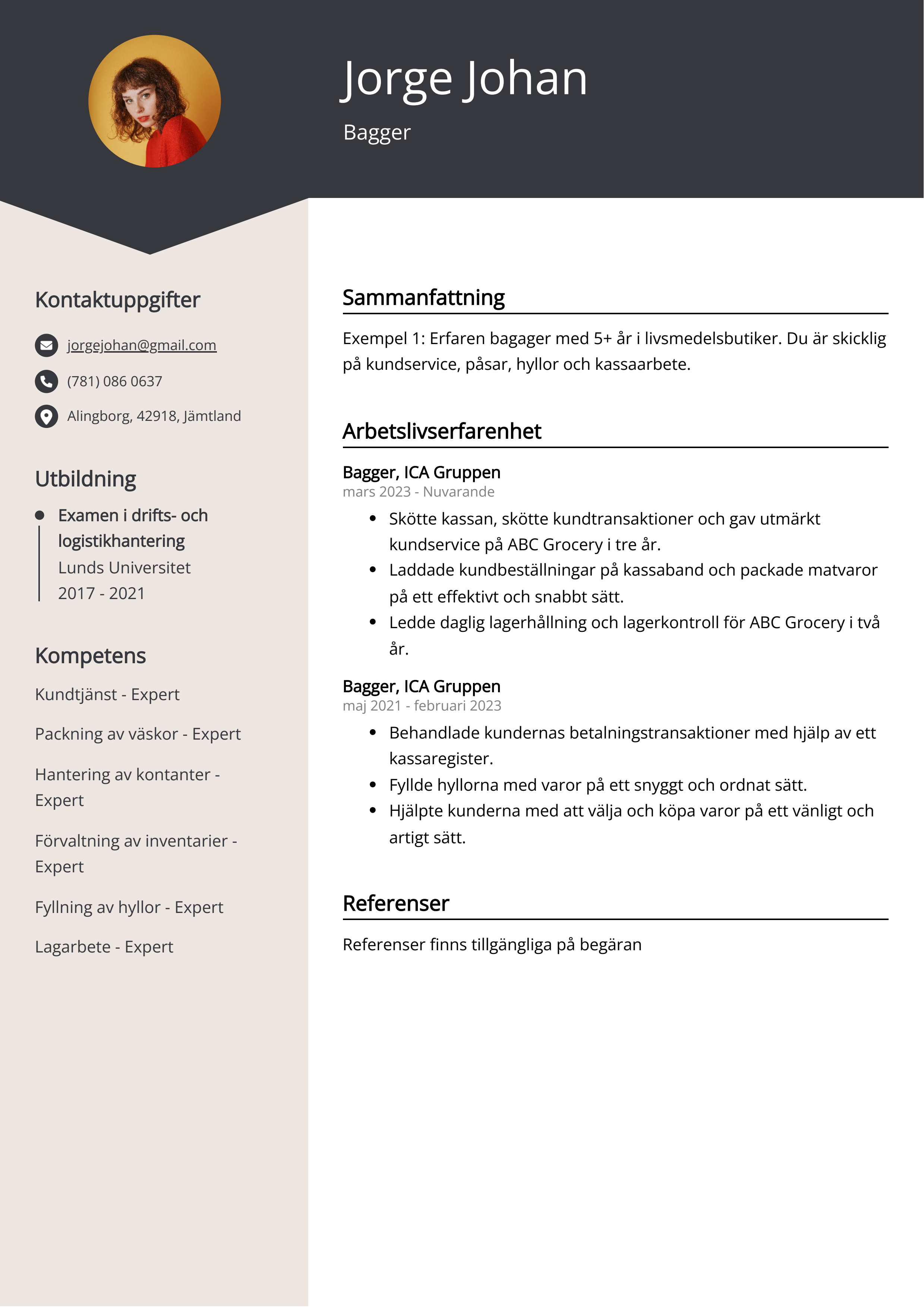 Bagger Exempel på CV