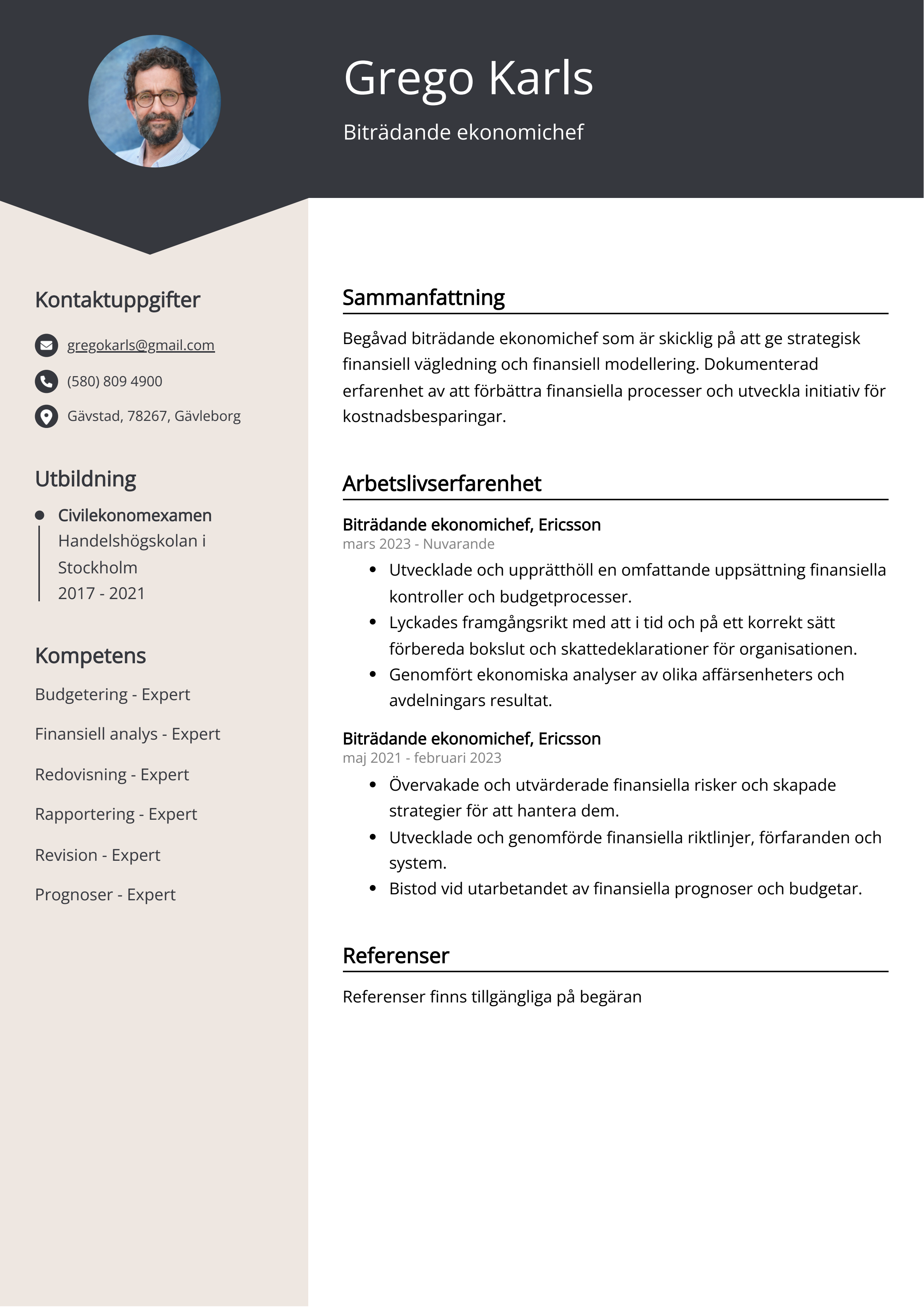 Biträdande ekonomichef CV Exempel