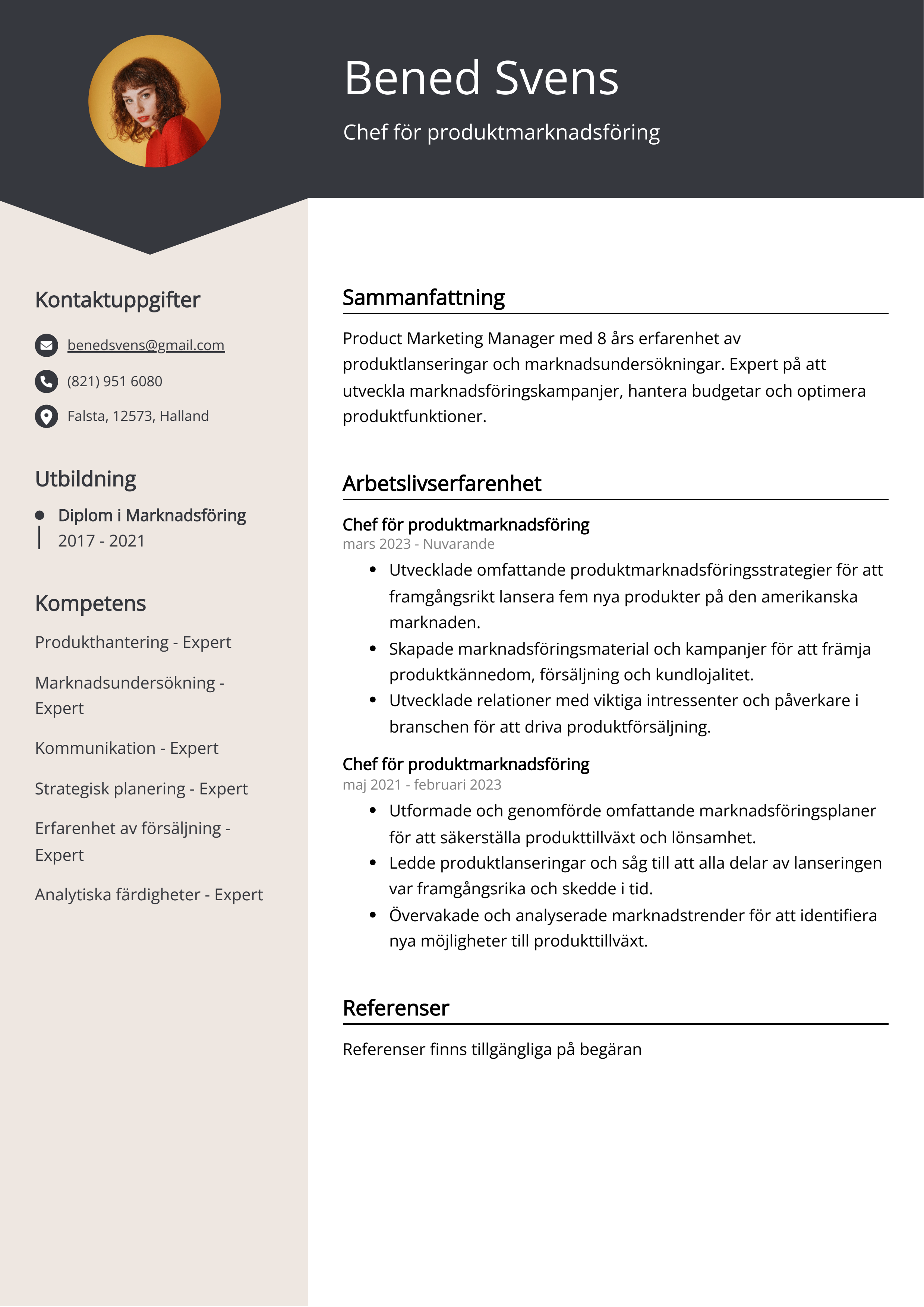 Chef för produktmarknadsföring CV Exempel