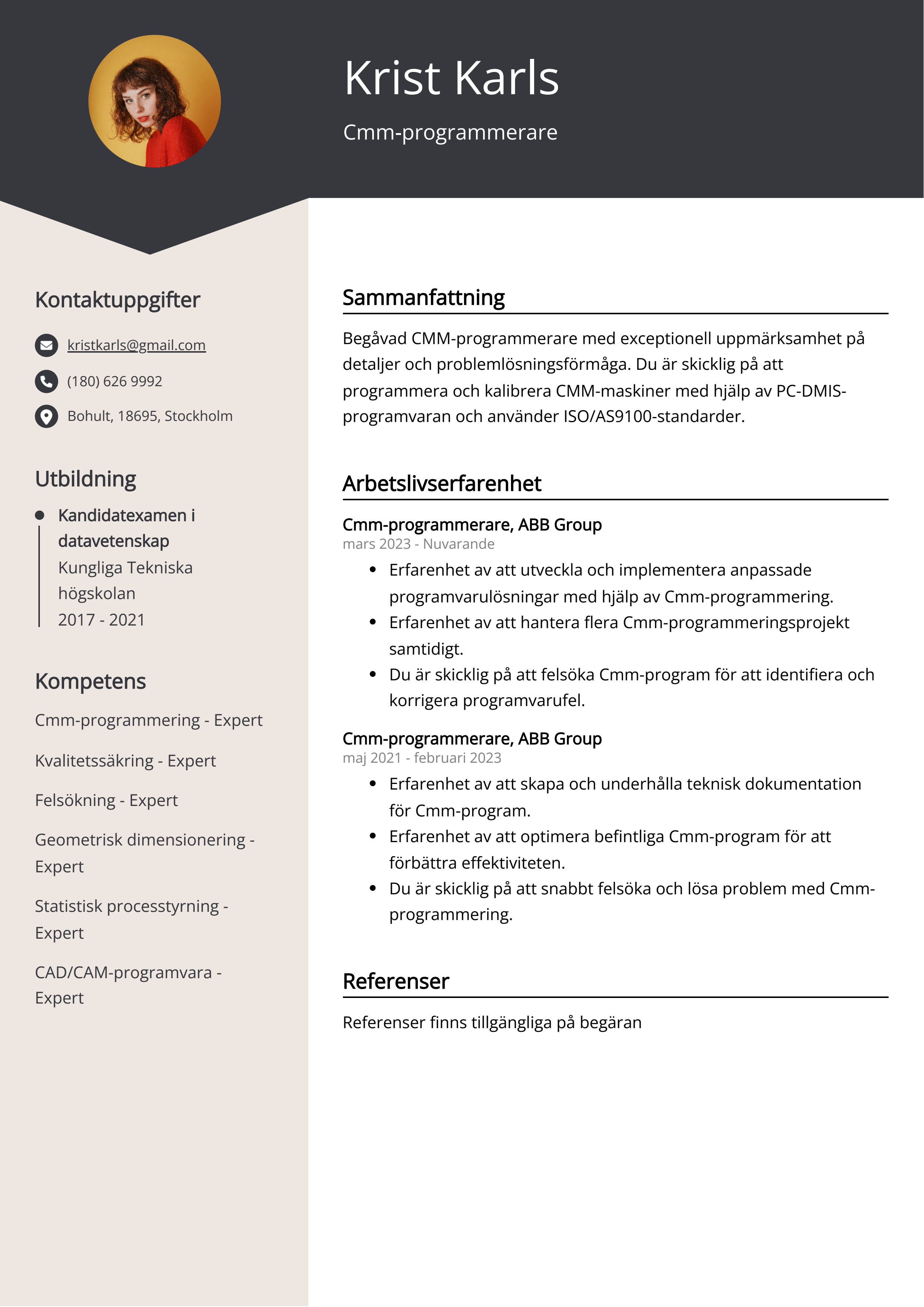 Exempel på CV för Cmm-programmerare