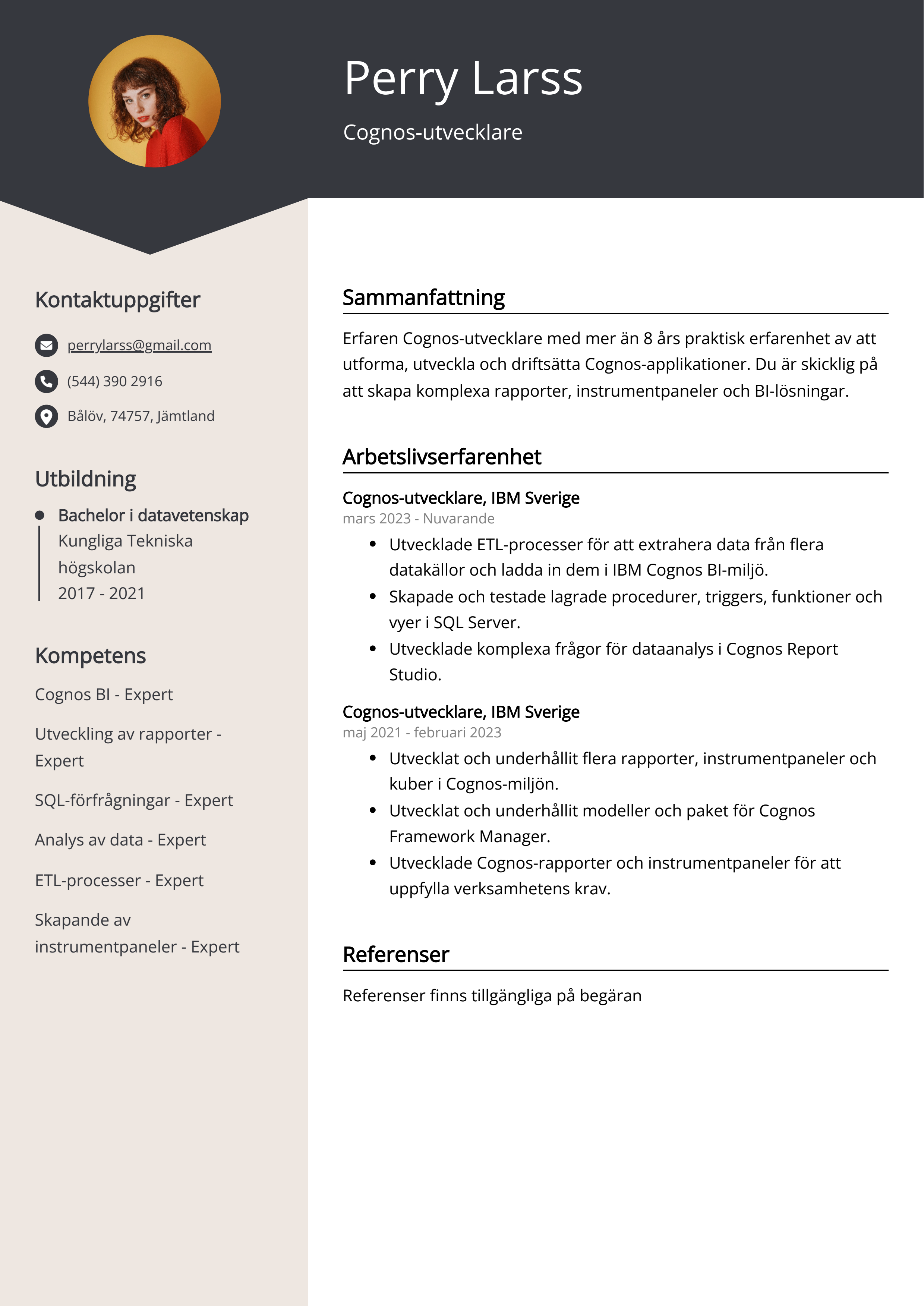 Exempel på CV för Cognos-utvecklare