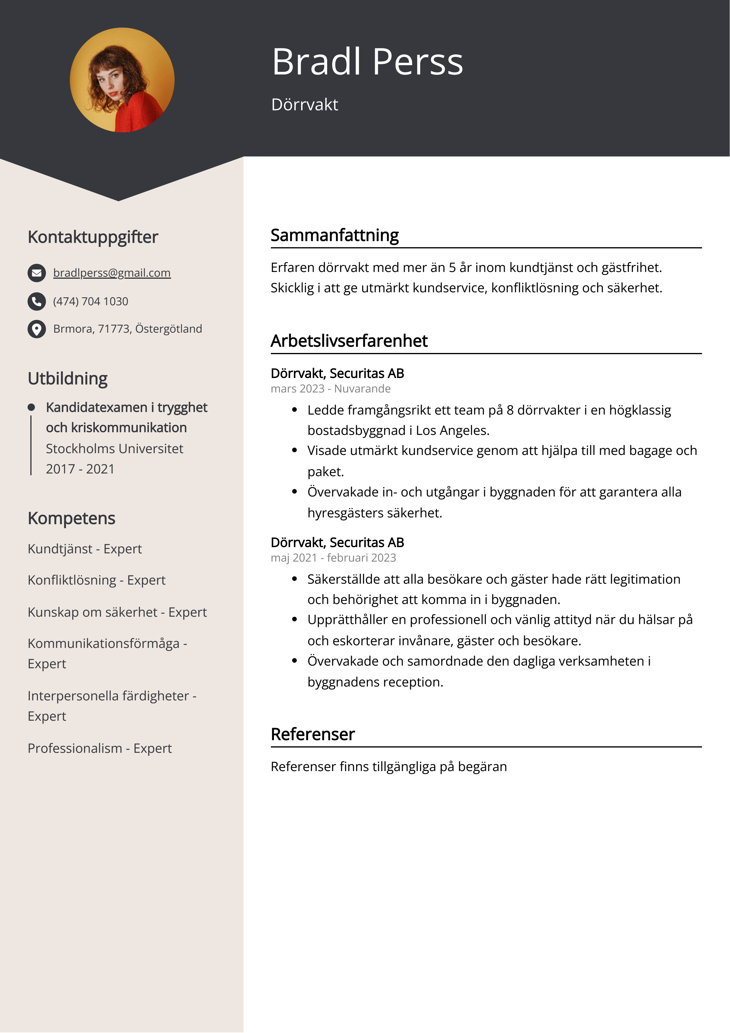 Dörrvakt CV Exempel