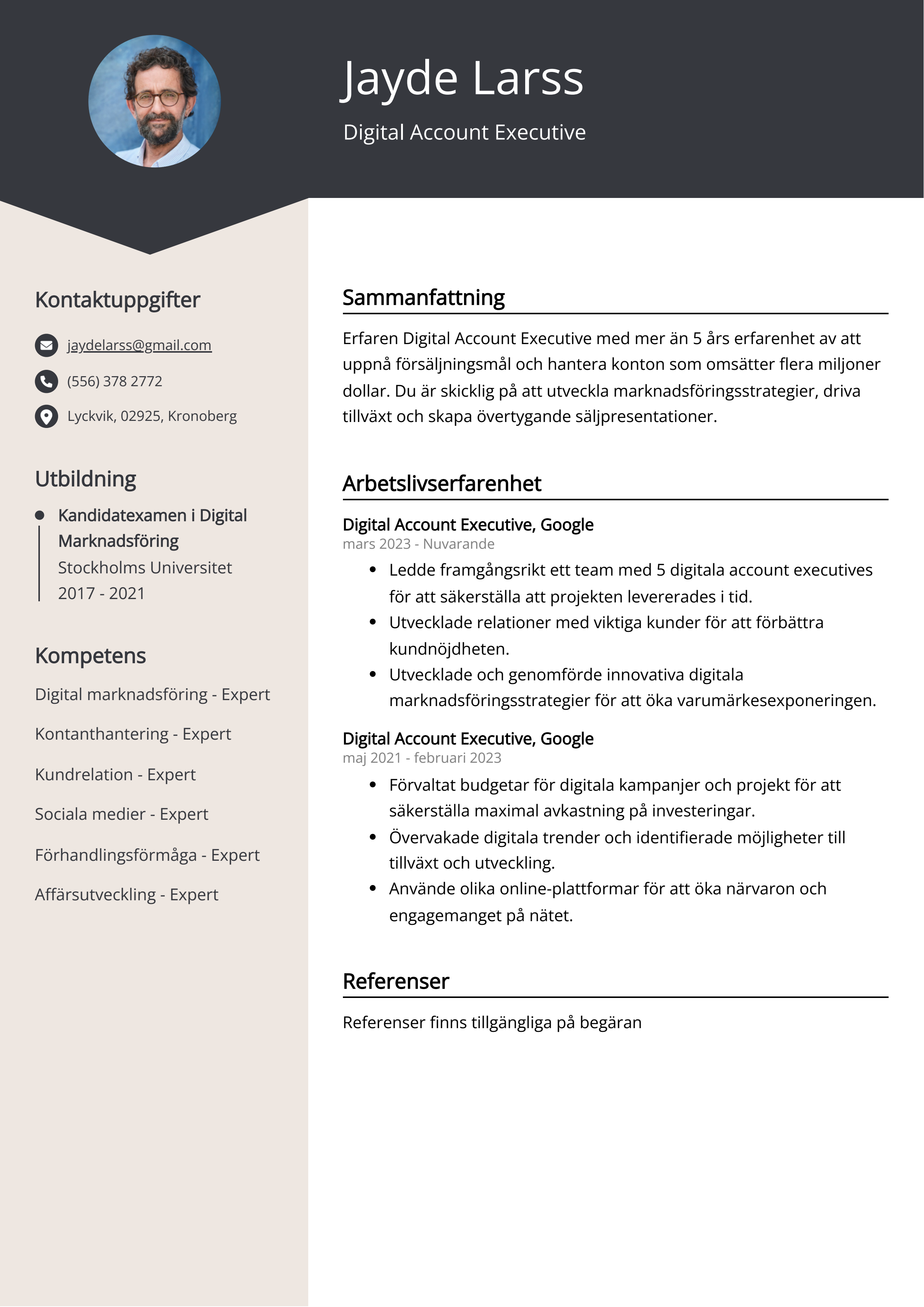 Digital Account Executive Exempel på CV