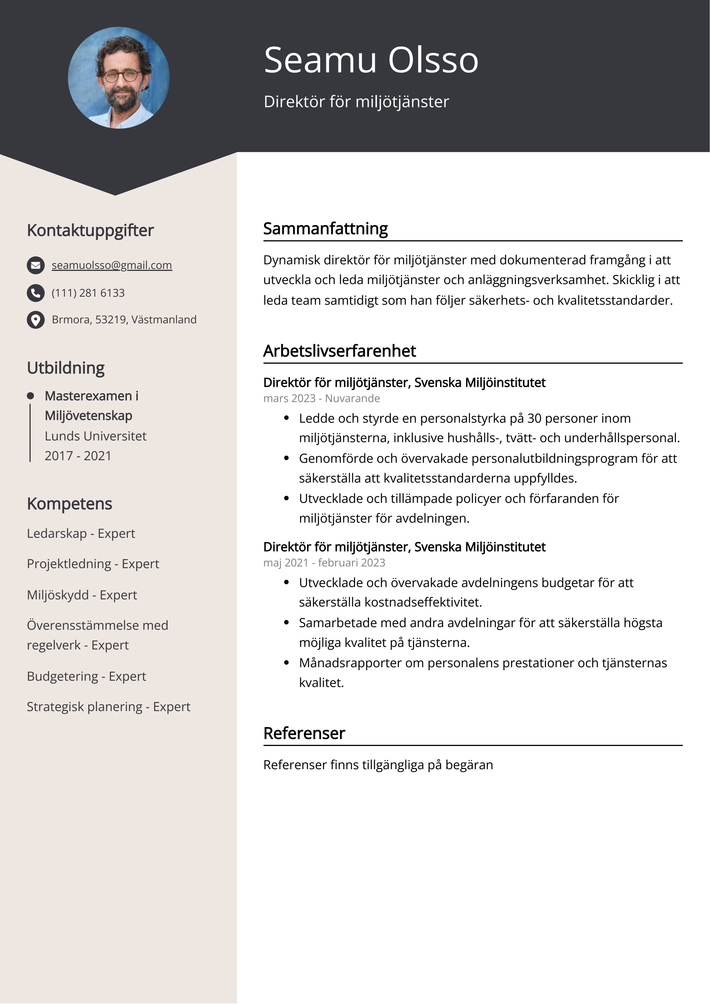 Direktör för miljötjänster Resumé Exempel