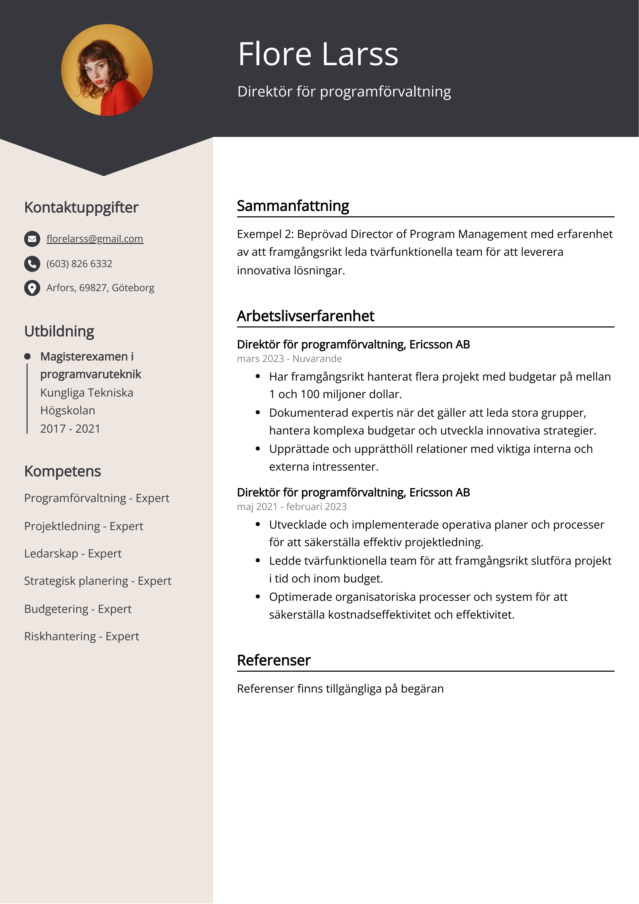 Direktör för programförvaltning CV Exempel