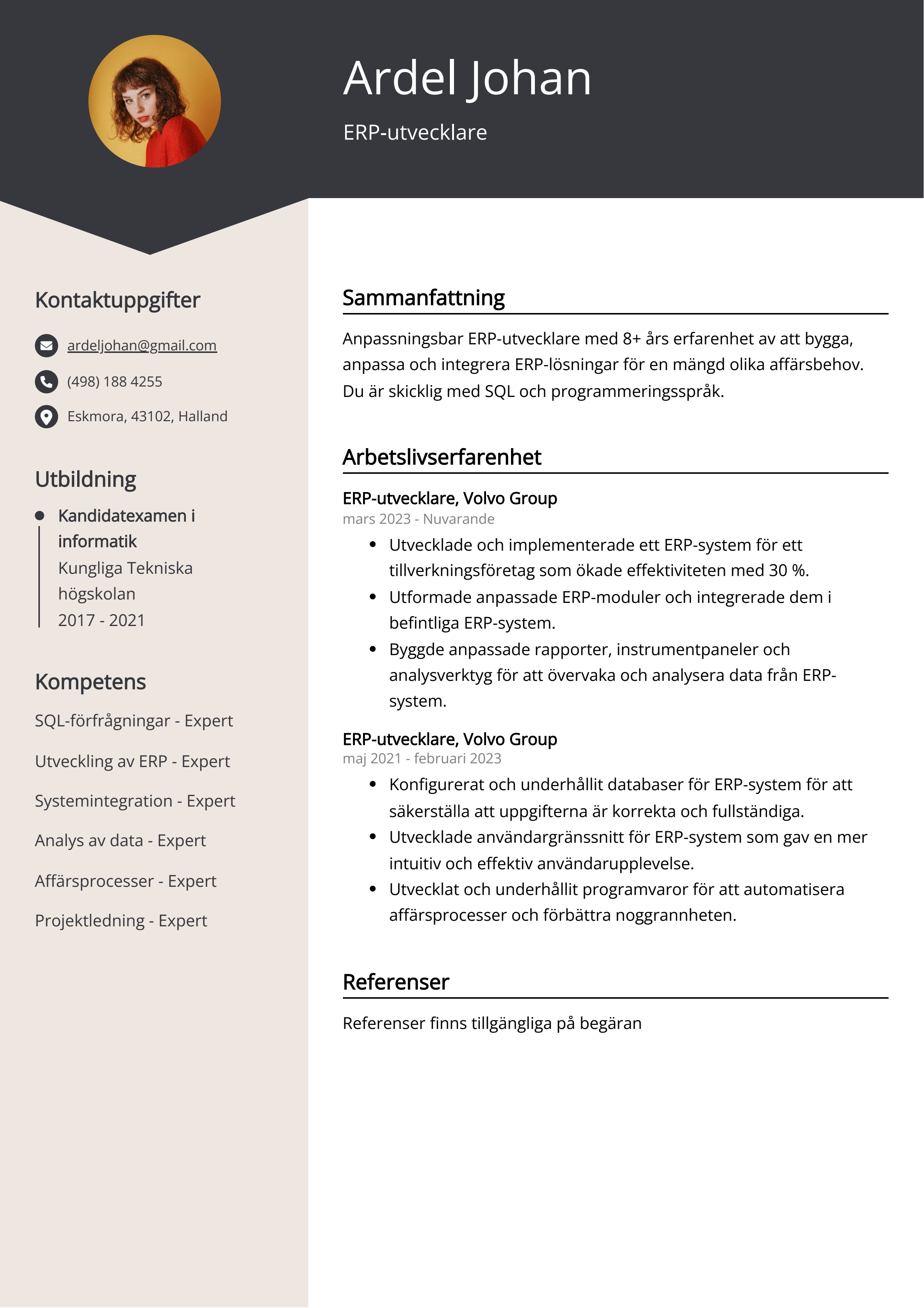 Exempel på CV för ERP-utvecklare