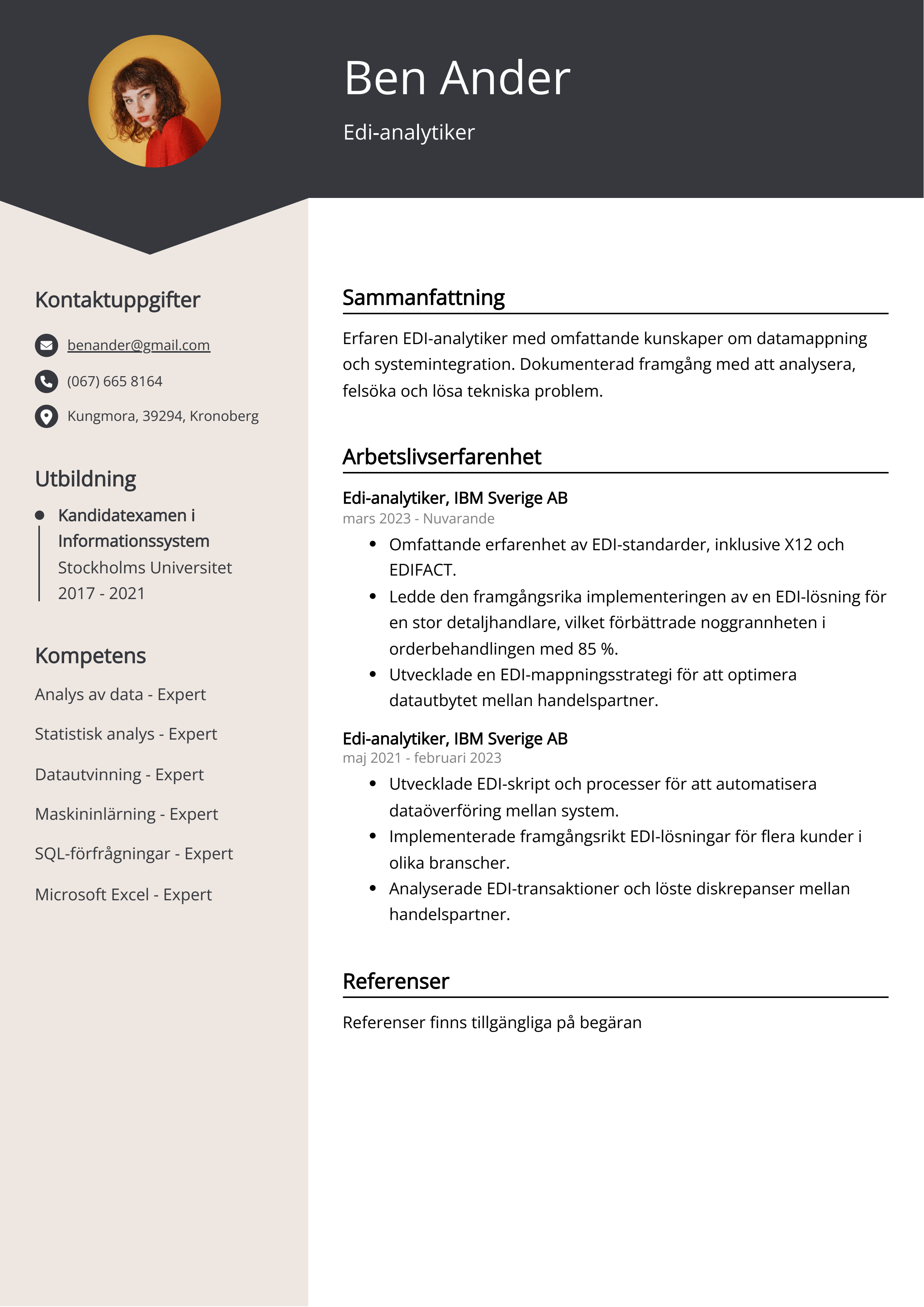 Edi-analytiker Exempel på meritförteckning