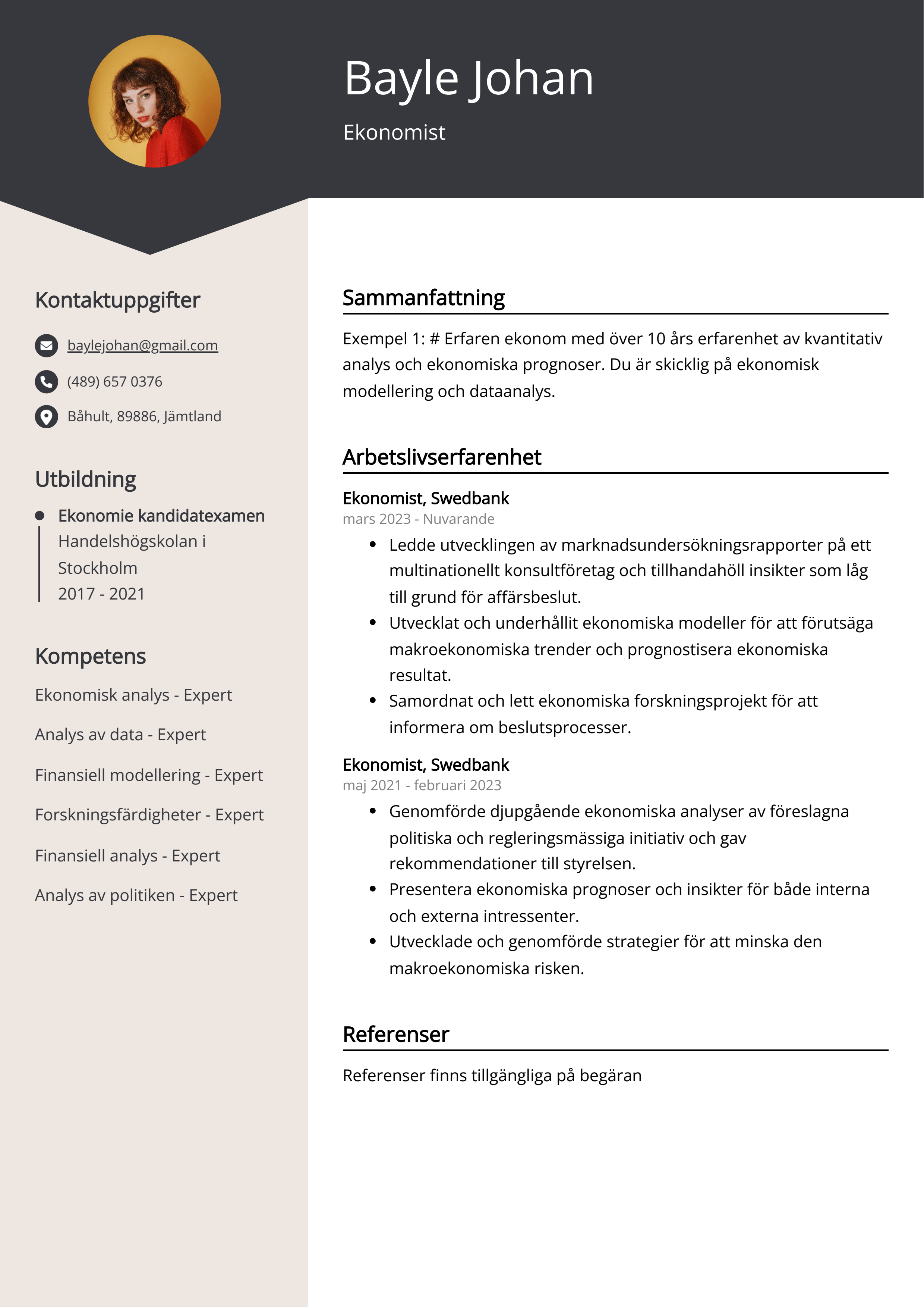 Ekonomist CV exempel