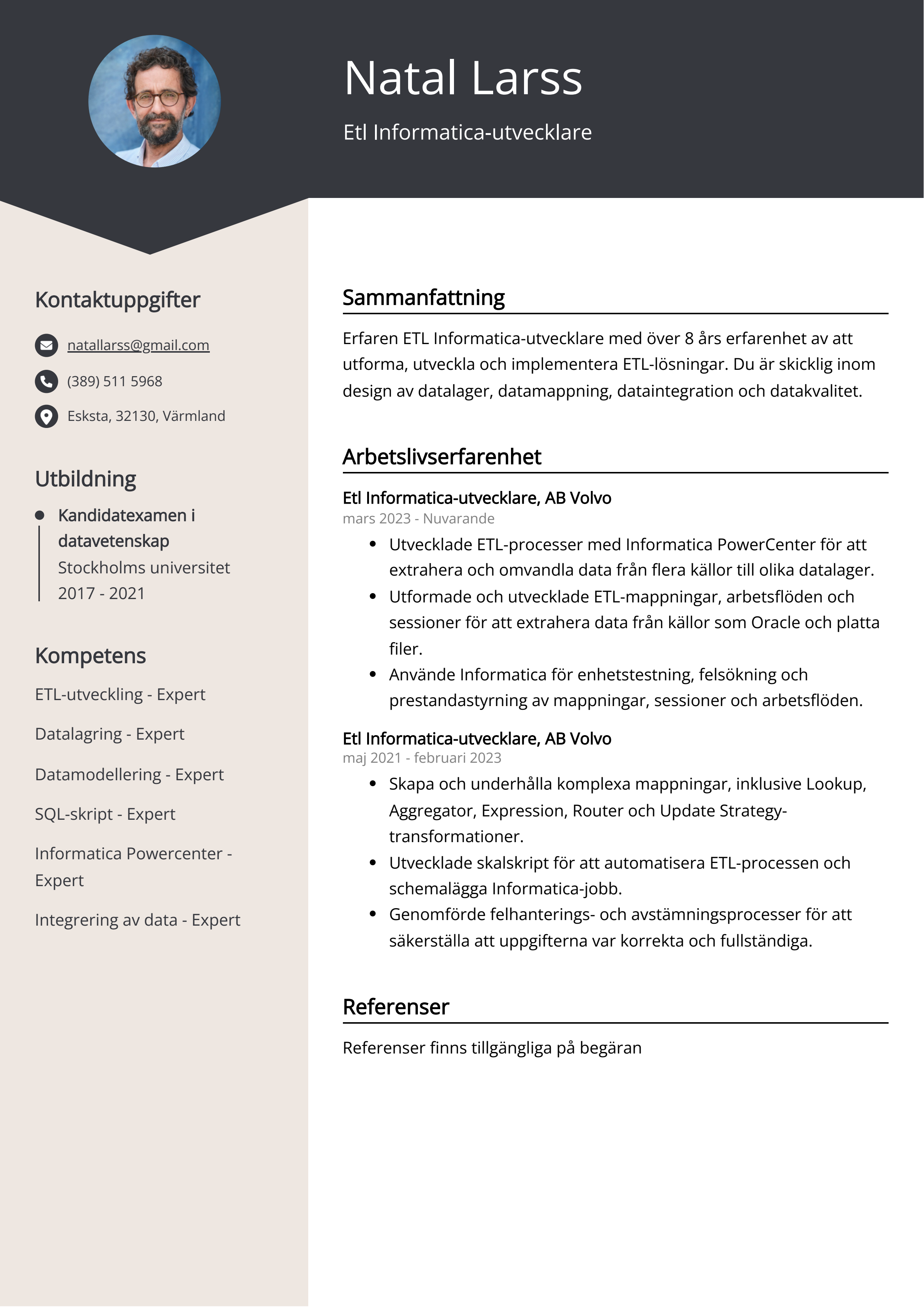 Etl Informatica-utvecklare CV Exempel