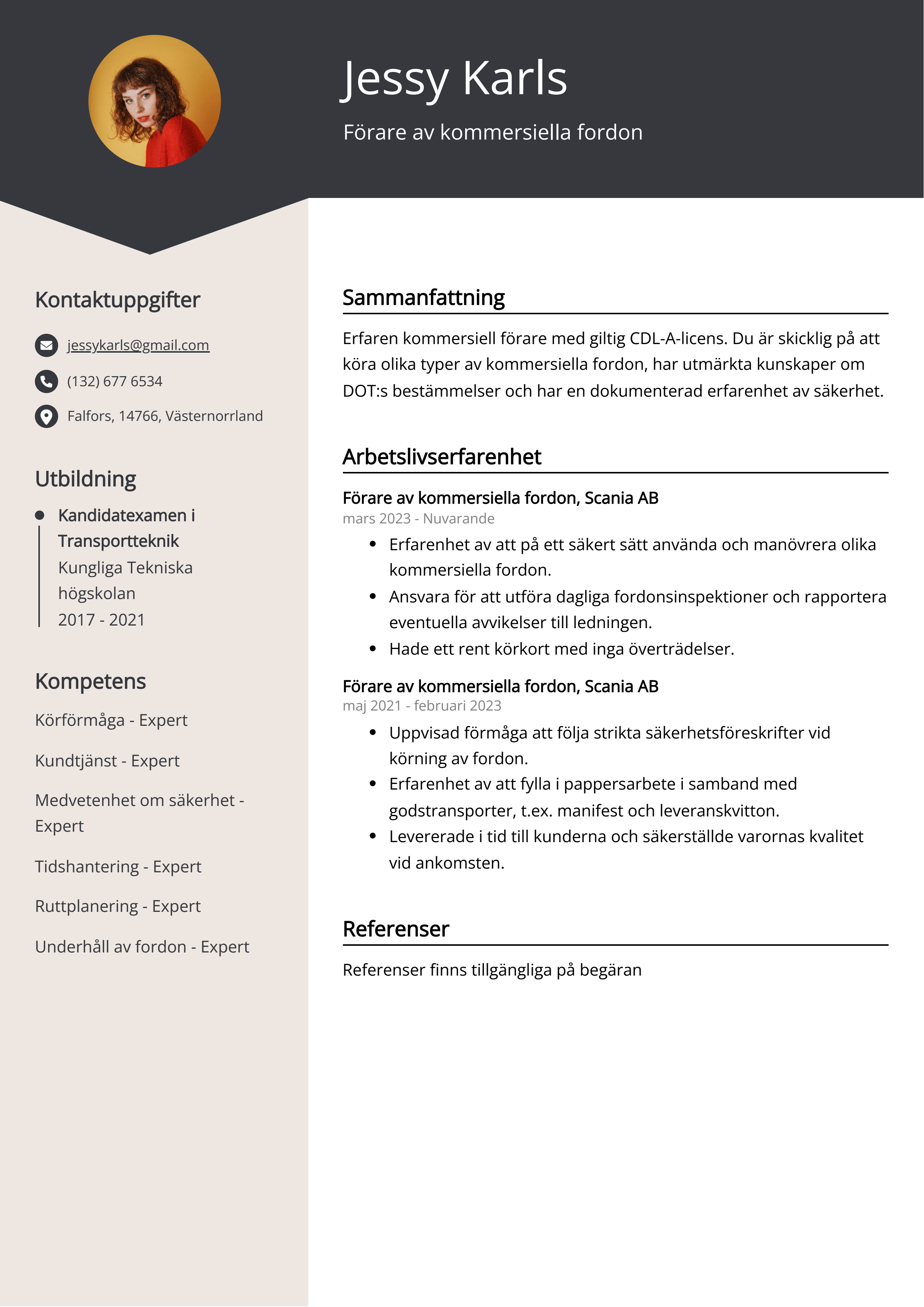 Förare av kommersiella fordon Resumé Exempel