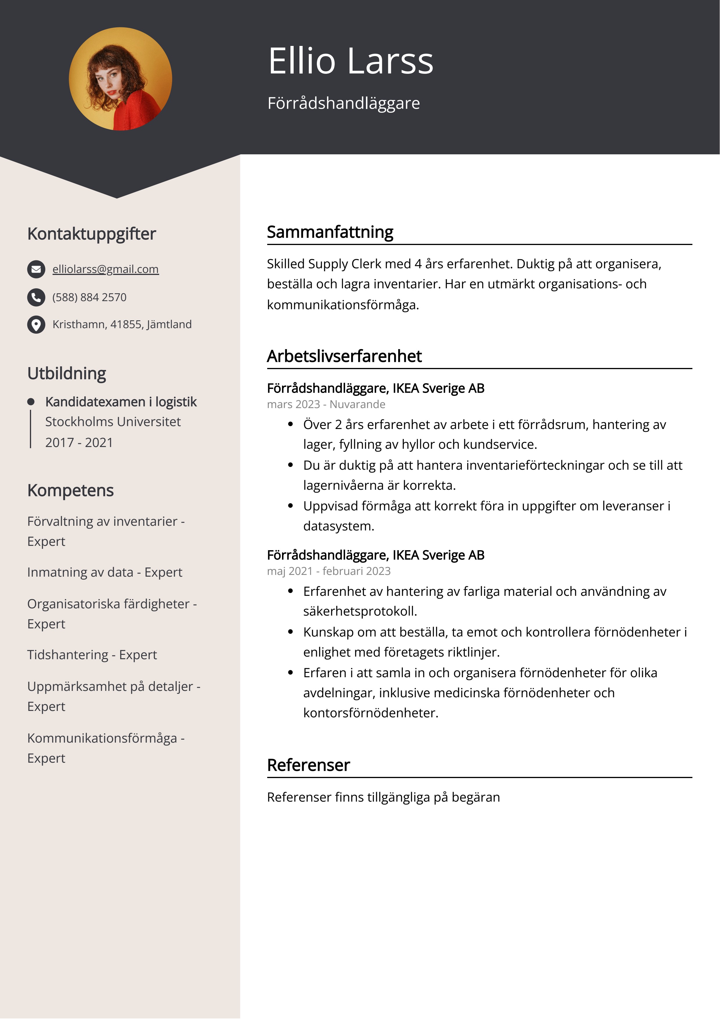 Förrådshandläggare CV Exempel