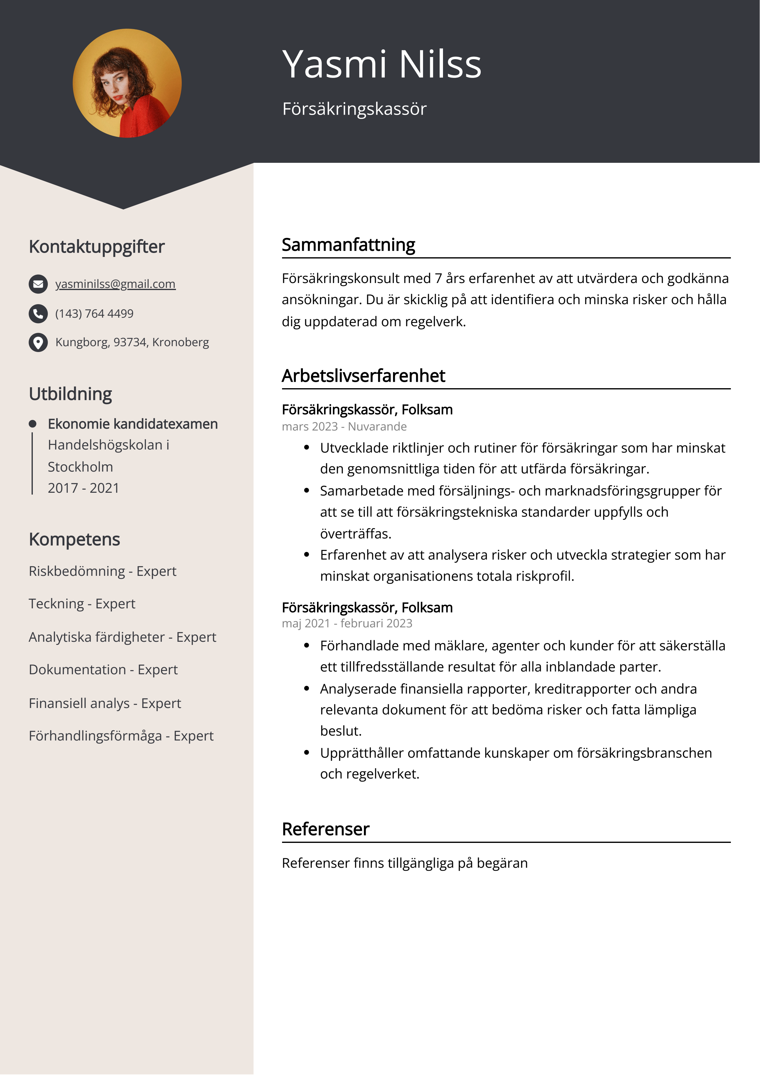 Försäkringskassör CV Exempel