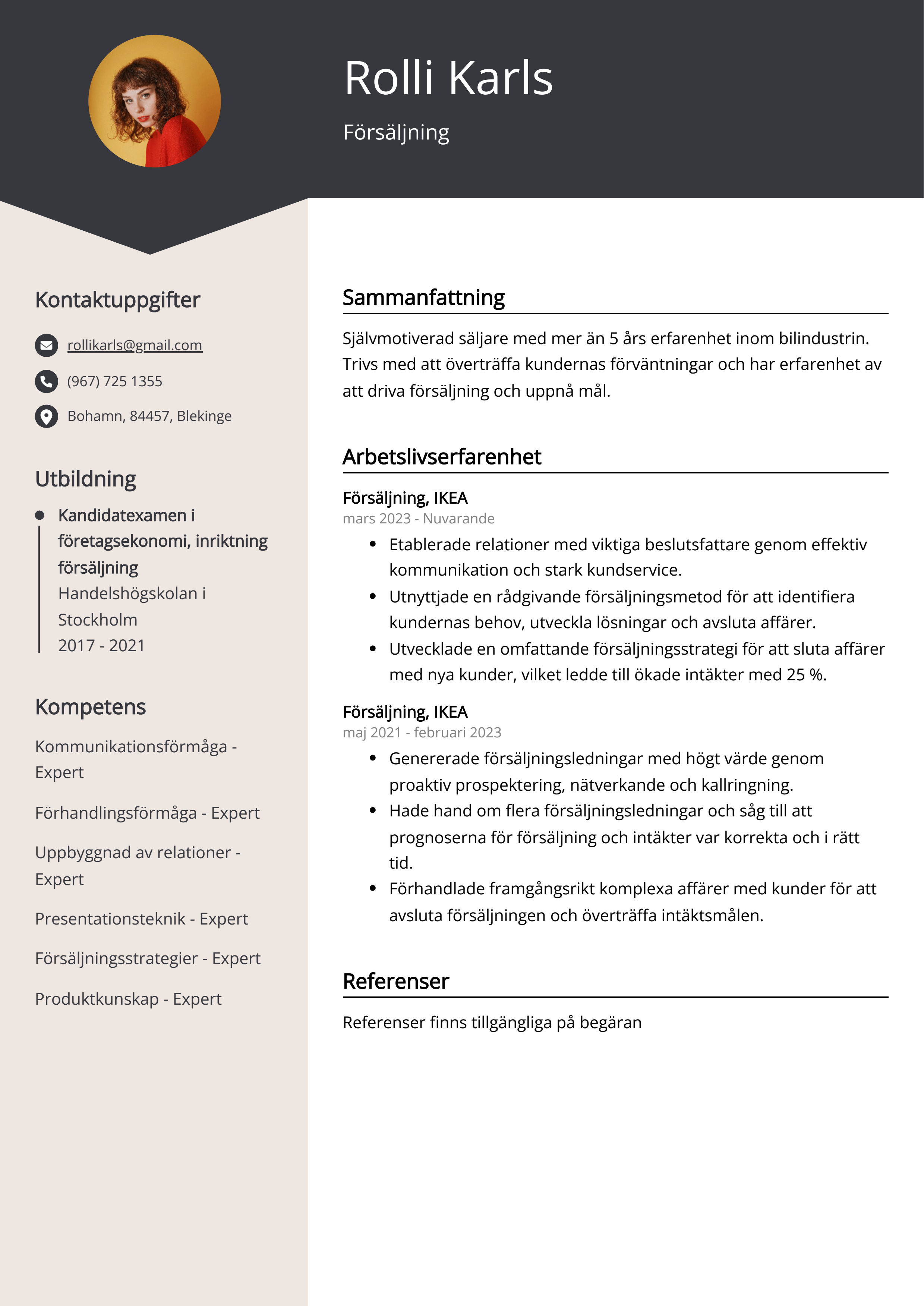 Försäljning CV Exempel