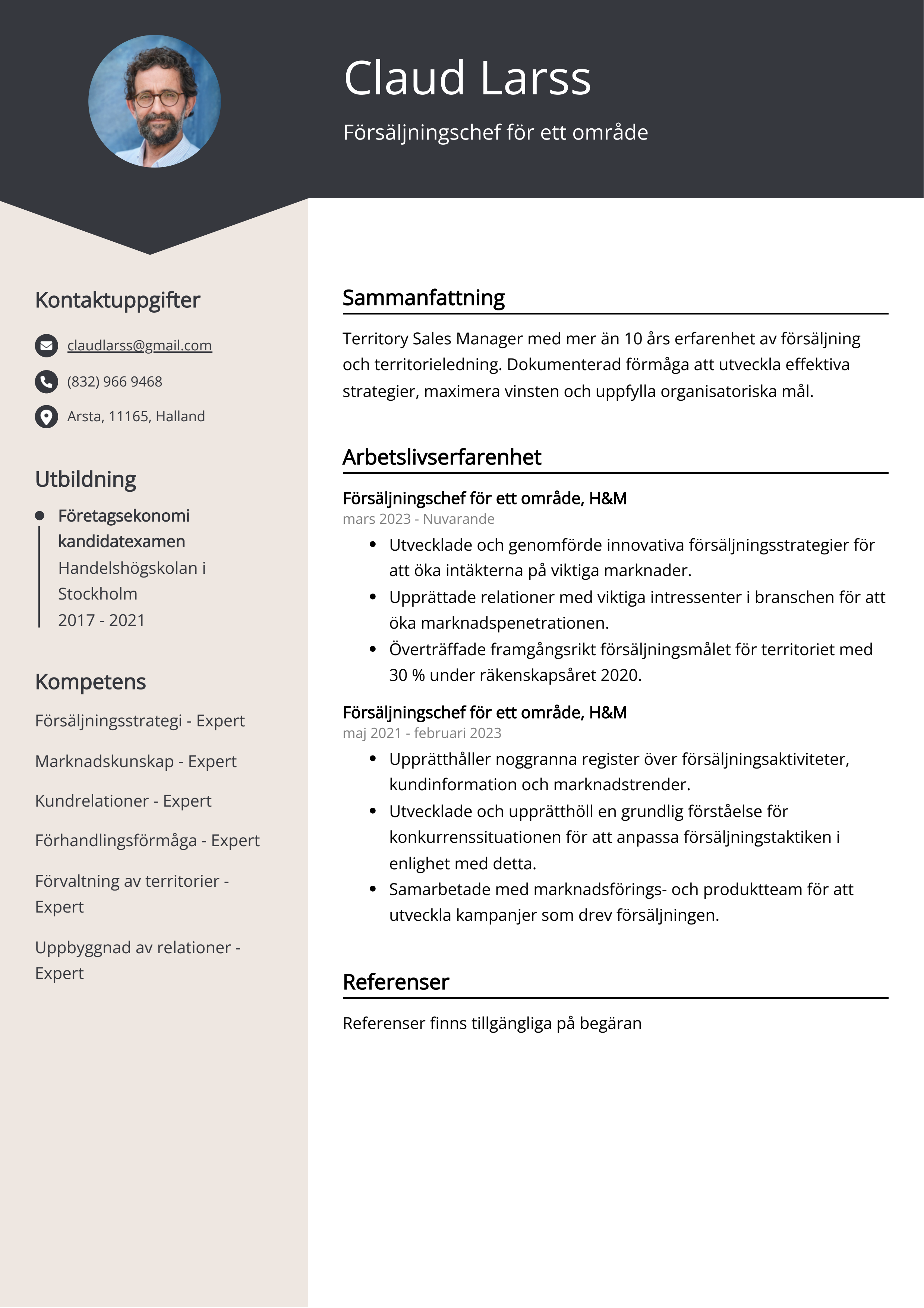 Försäljningschef för ett område Resume Example