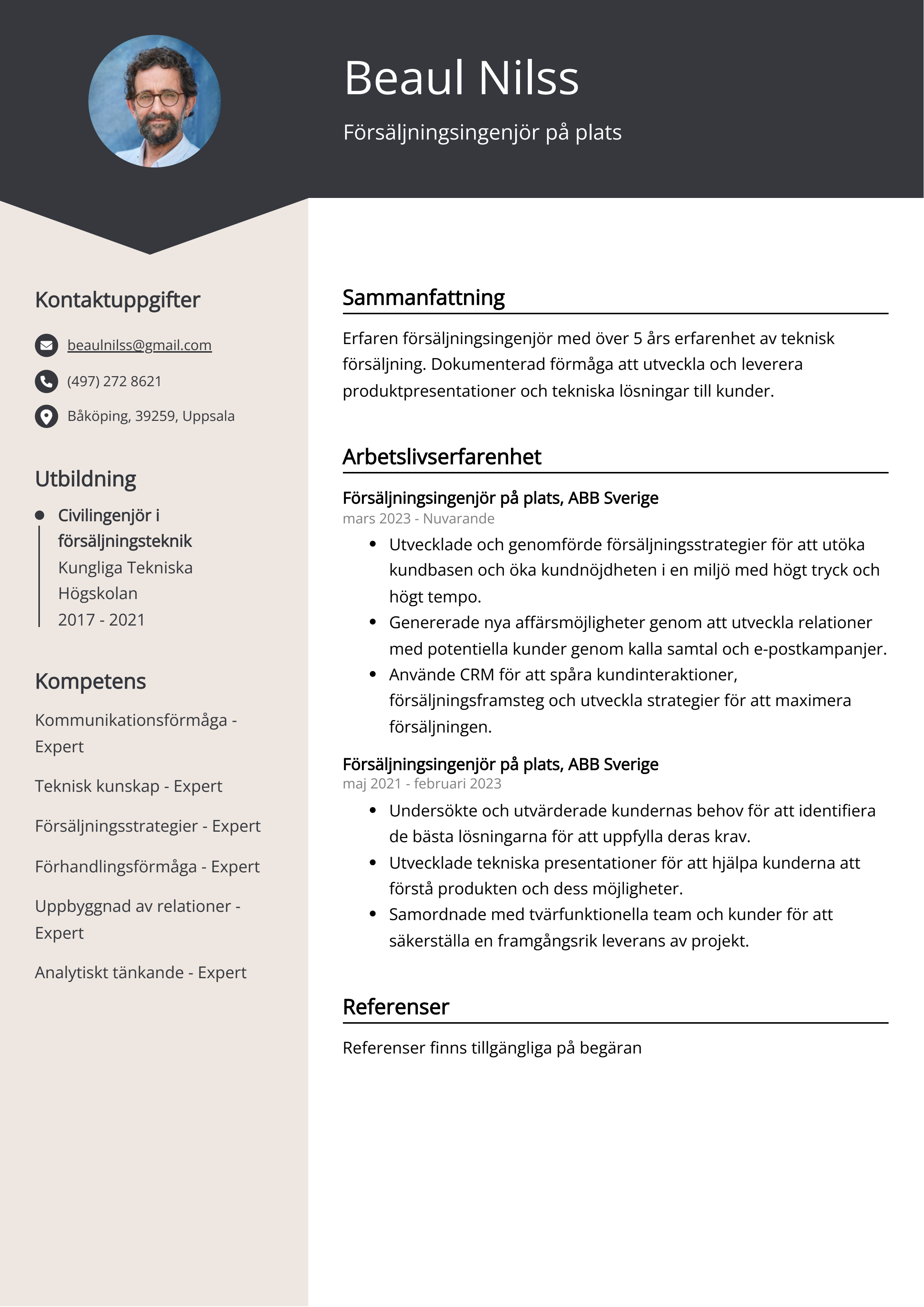 Försäljningsingenjör på plats CV Exempel