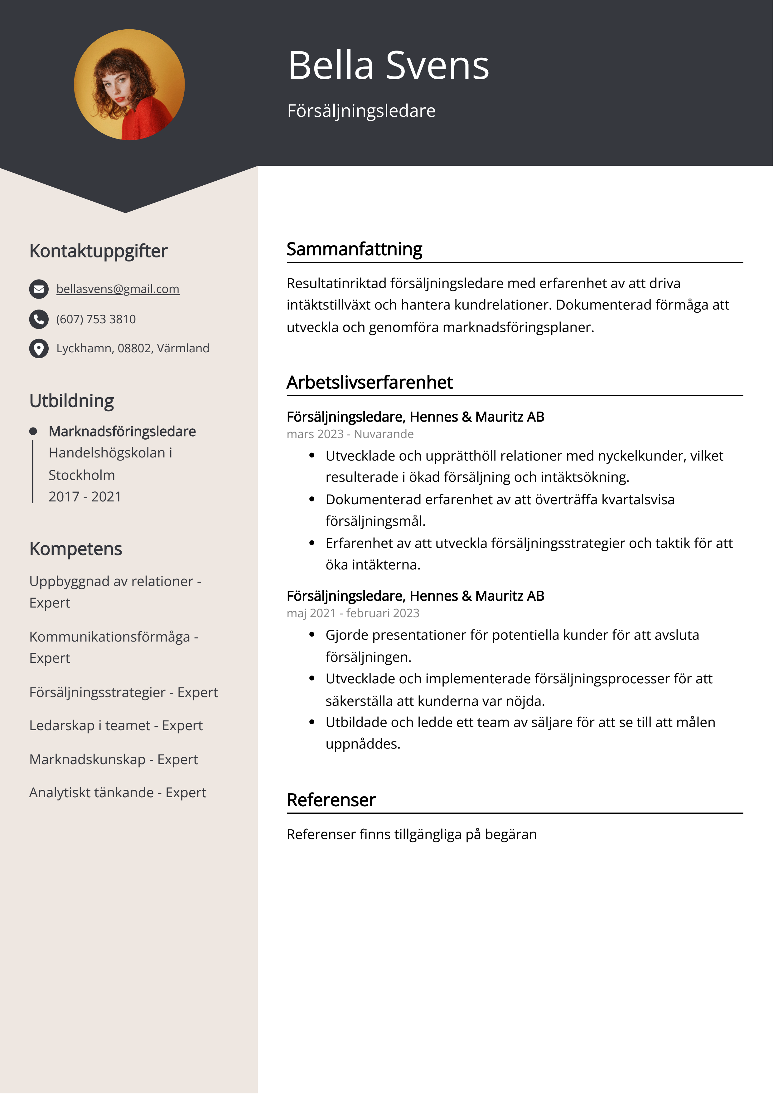 Försäljningsledare CV Exempel