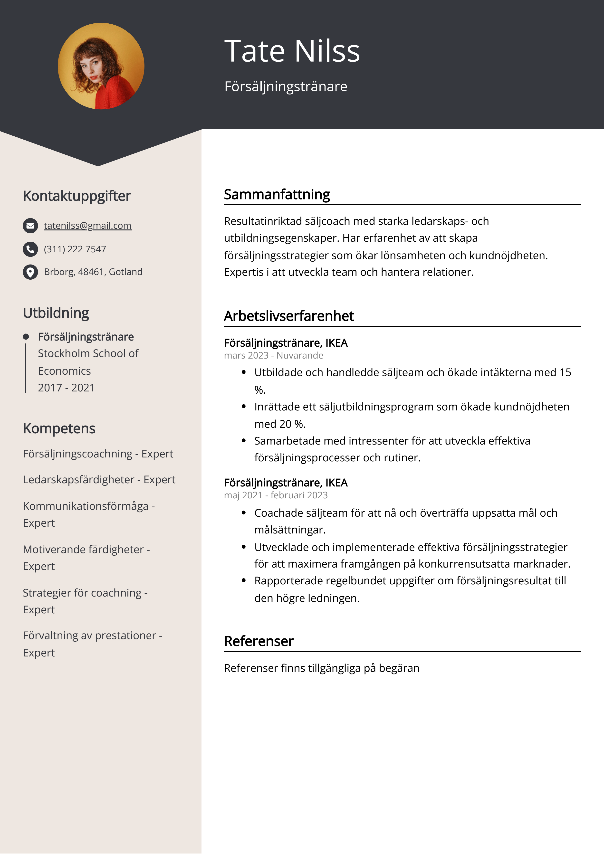 Försäljningstränare CV Exempel