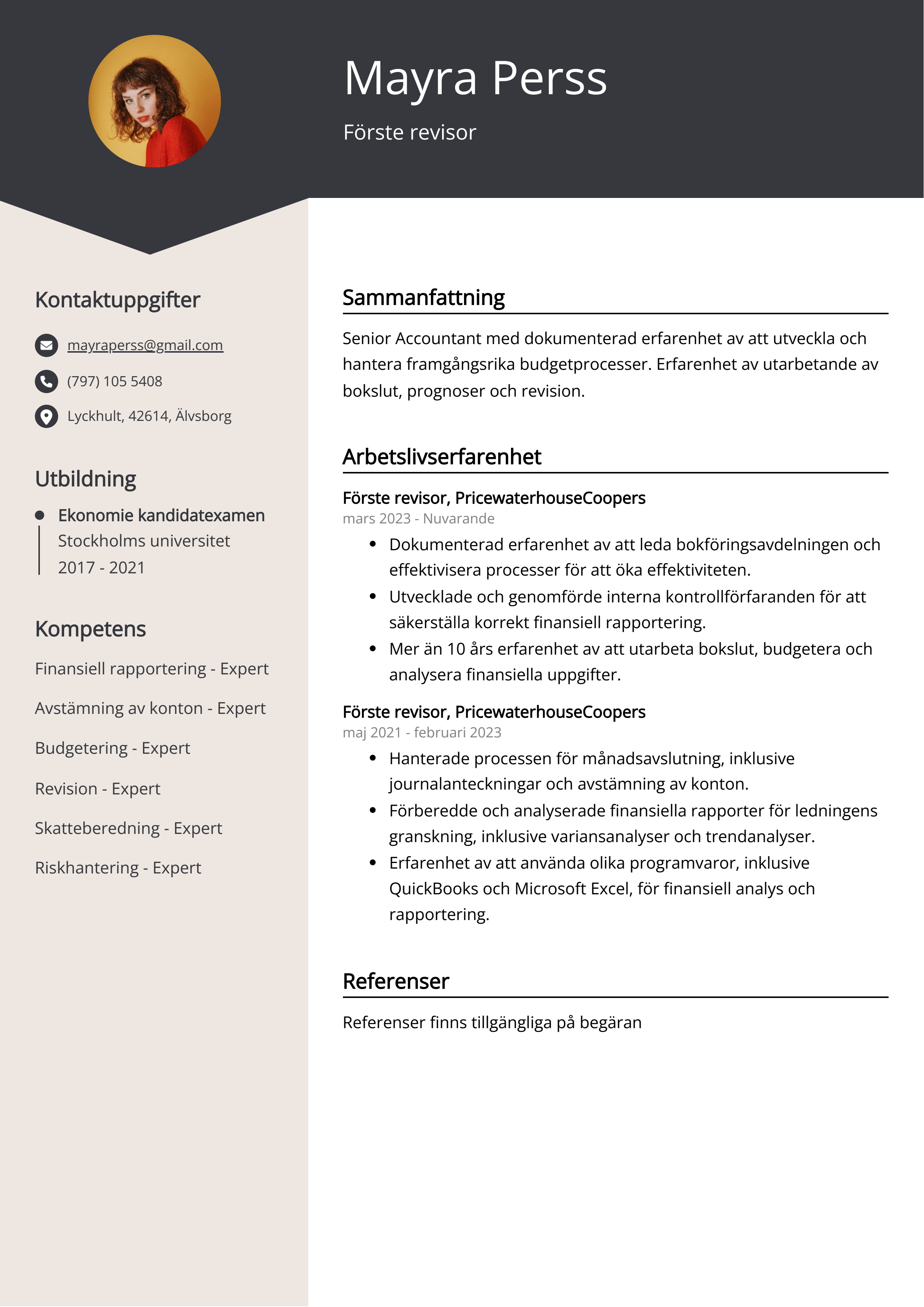 Förste revisor CV Exempel