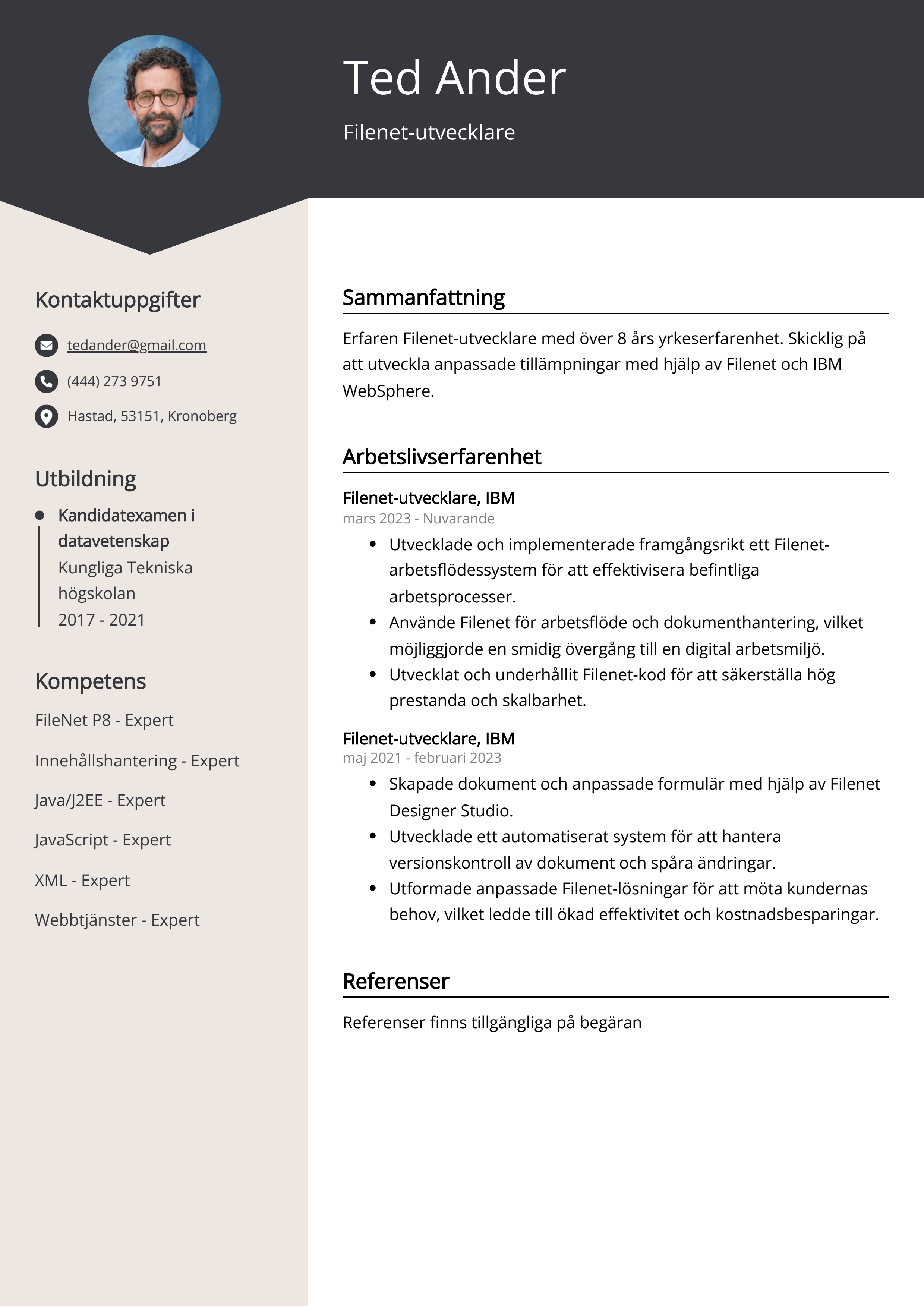 Filenet-utvecklare CV Exempel