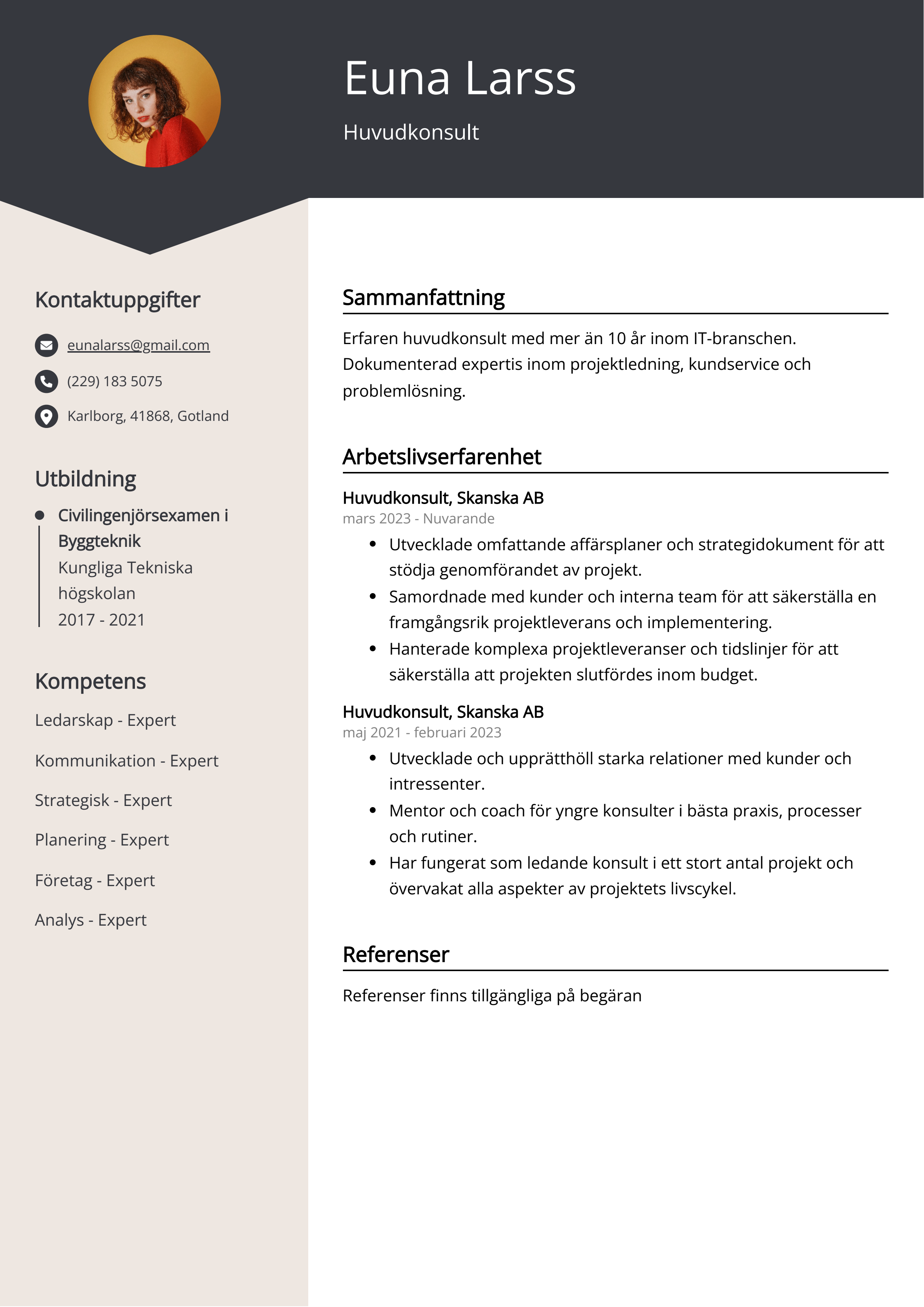 Huvudkonsult CV Exempel