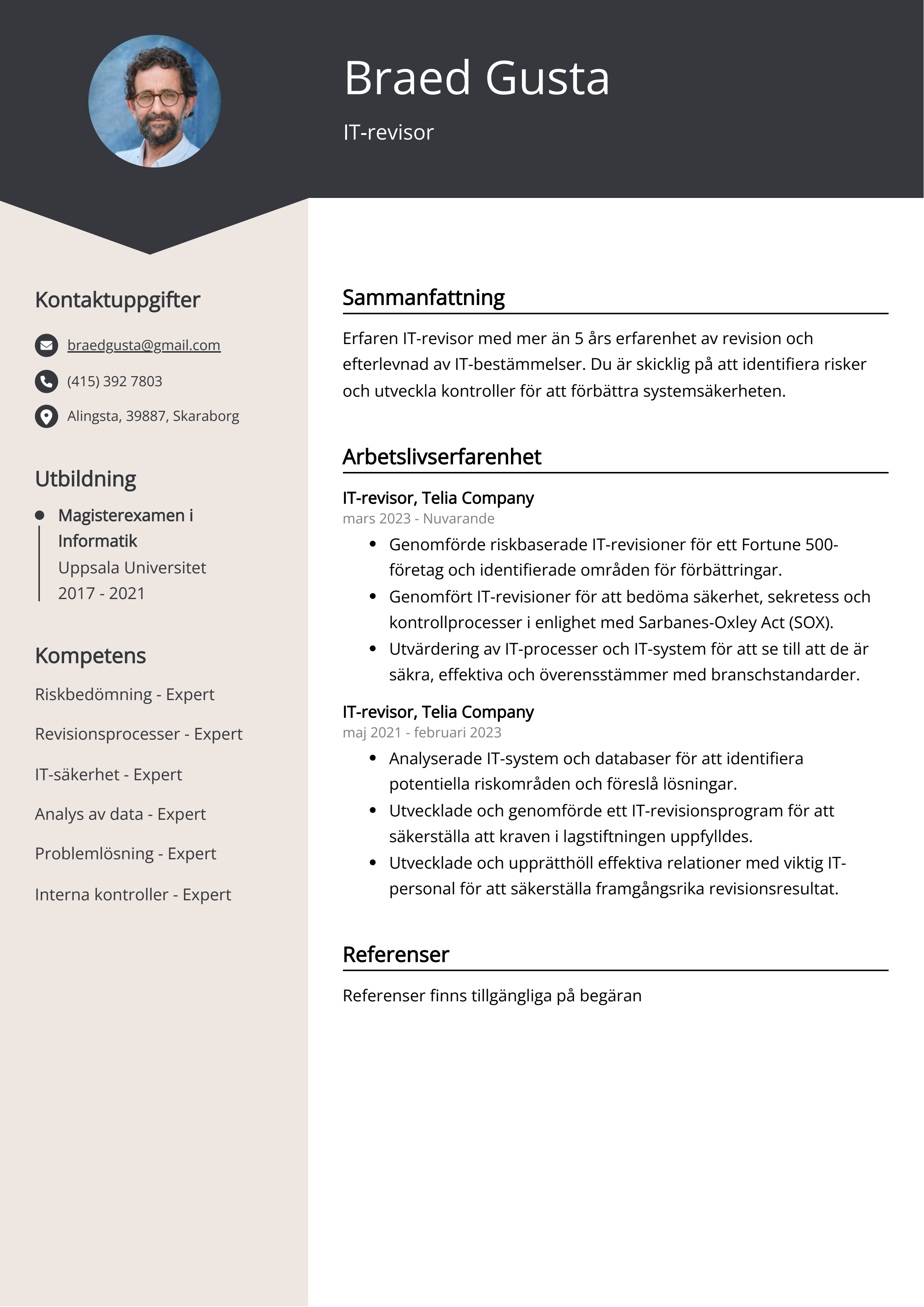 IT-revisor CV exempel