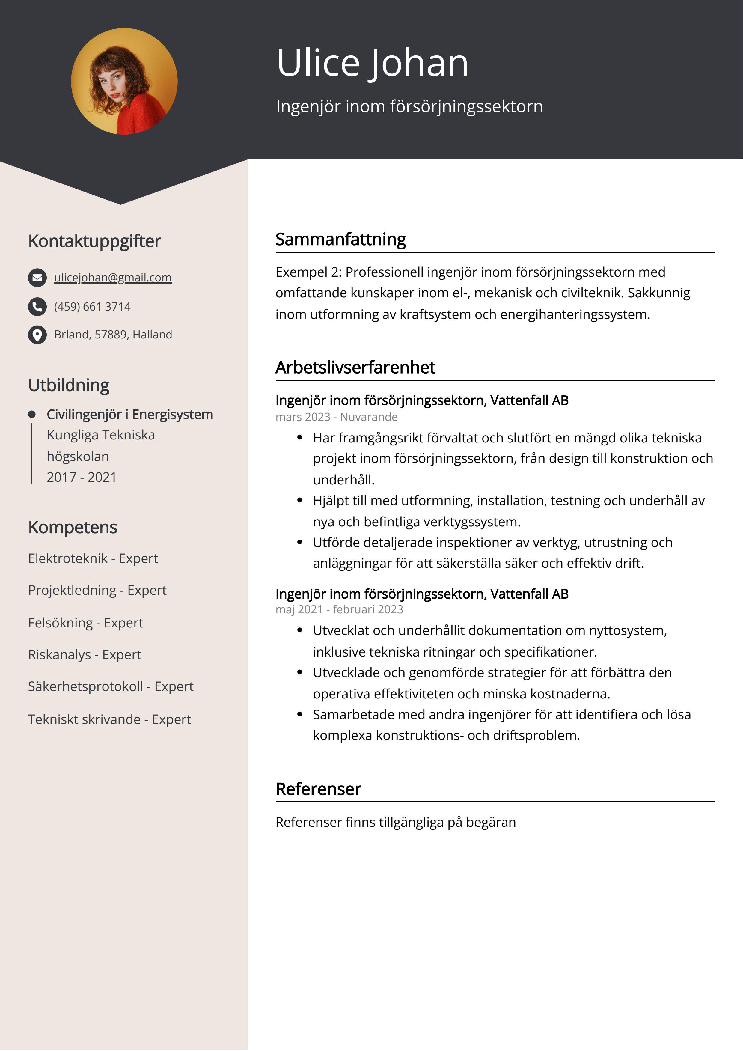 Ingenjör inom försörjningssektorn CV Exempel