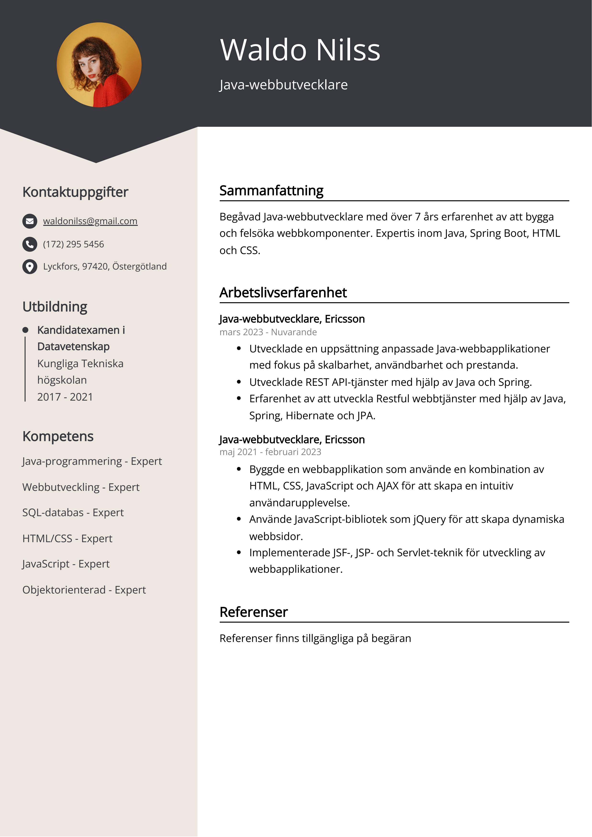 Java-webbutvecklare CV Exempel