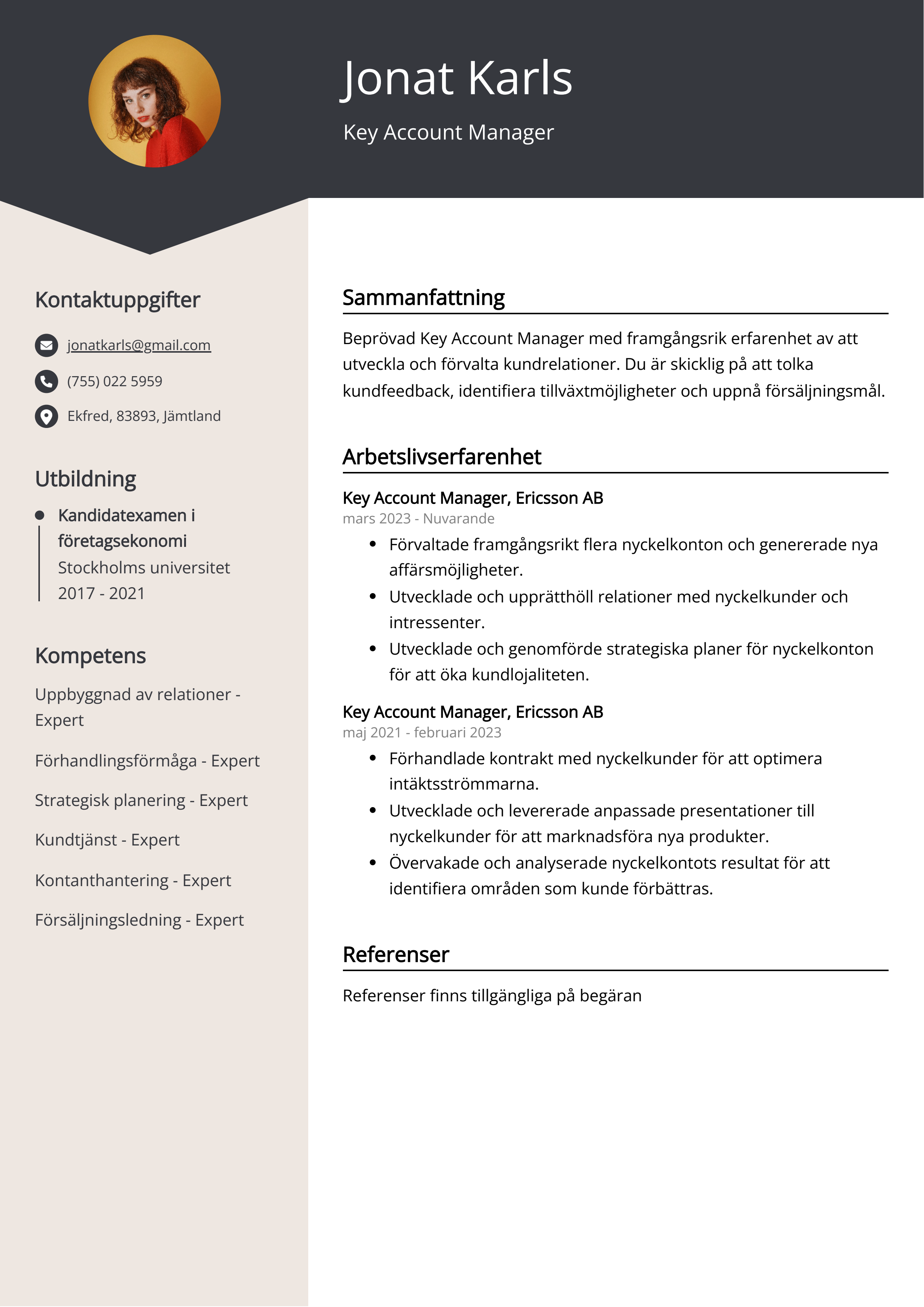 Key Account Manager Exempel på CV