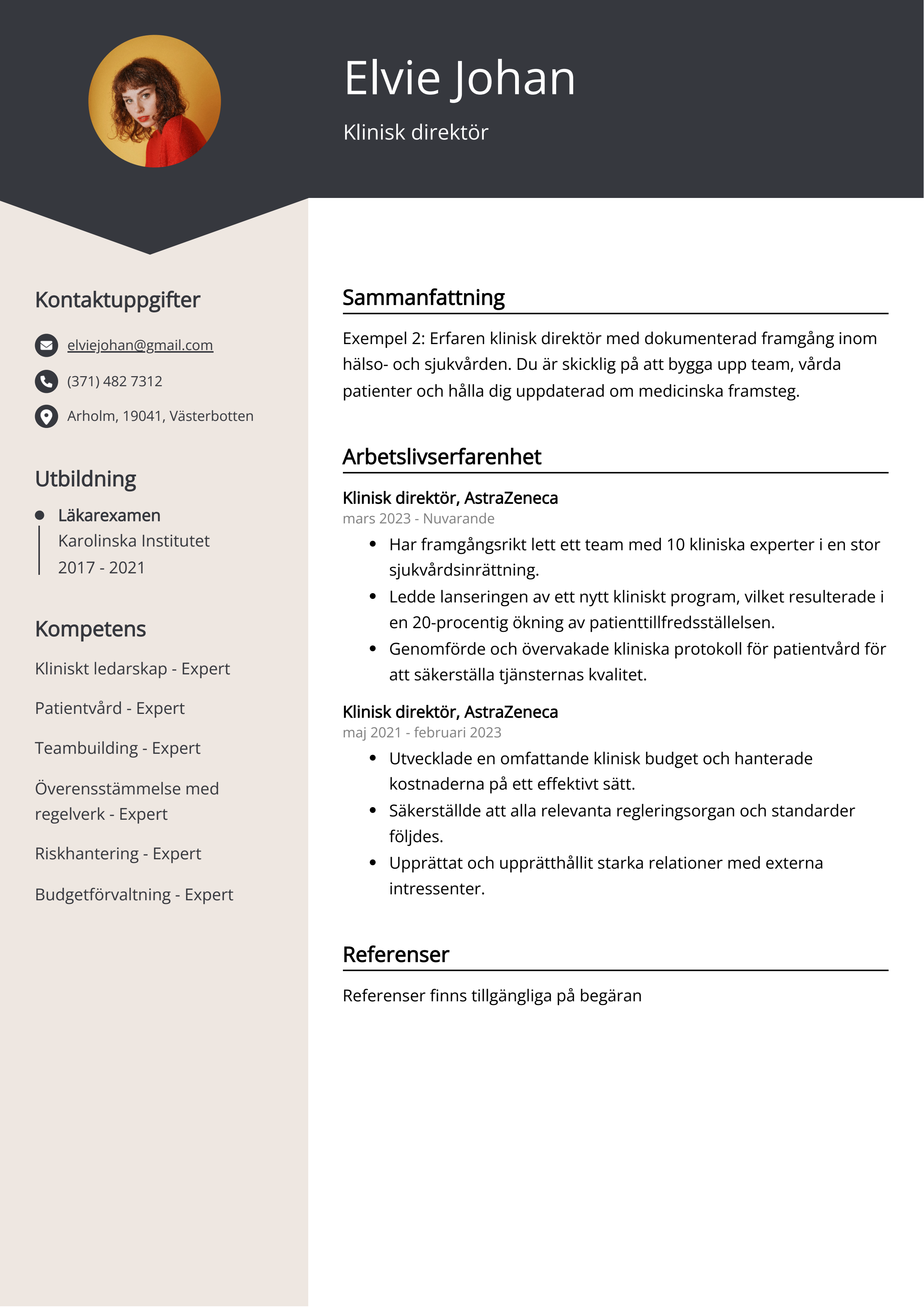 Klinisk direktör CV Exempel