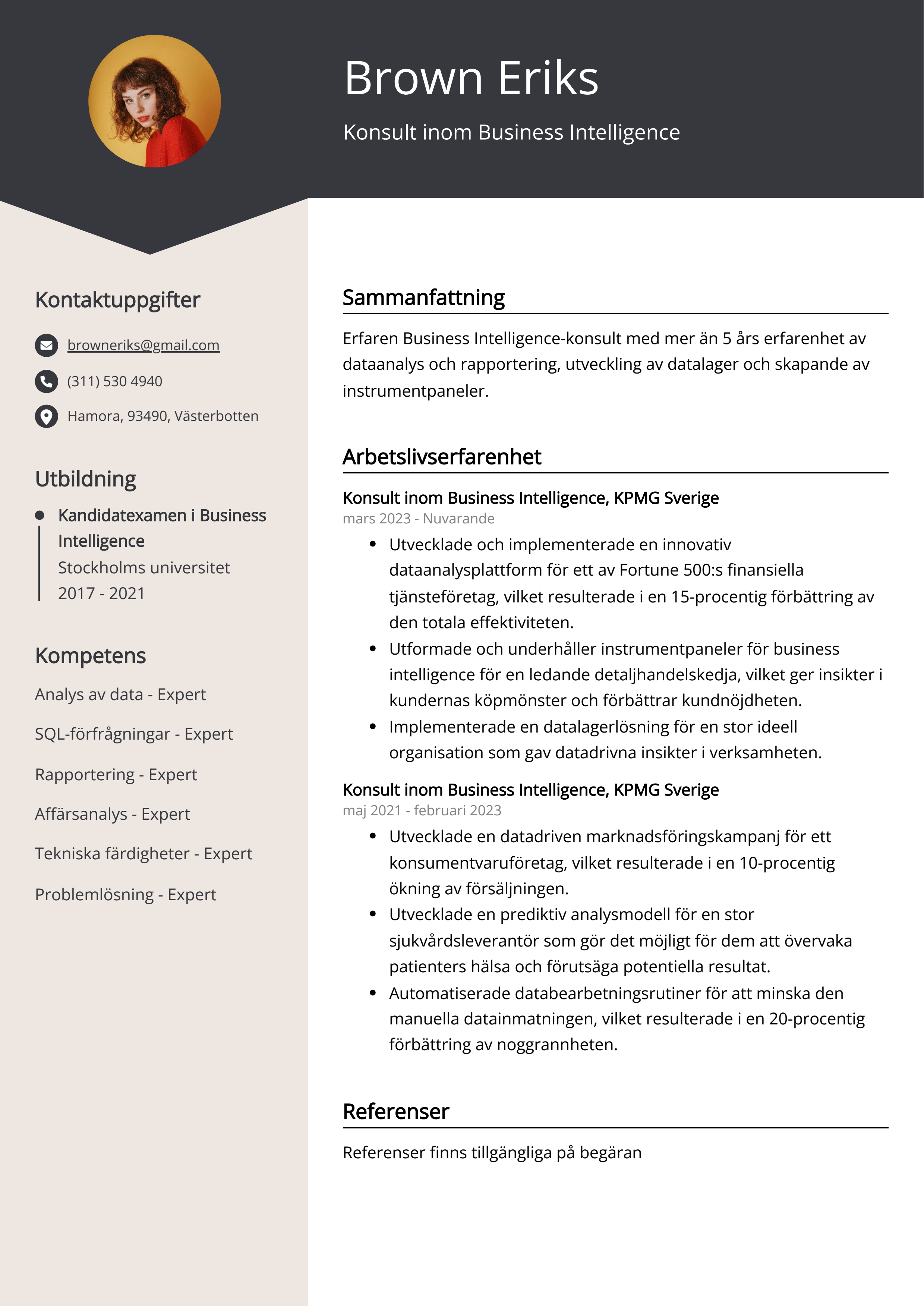 Konsult inom Business Intelligence Exempel på CV