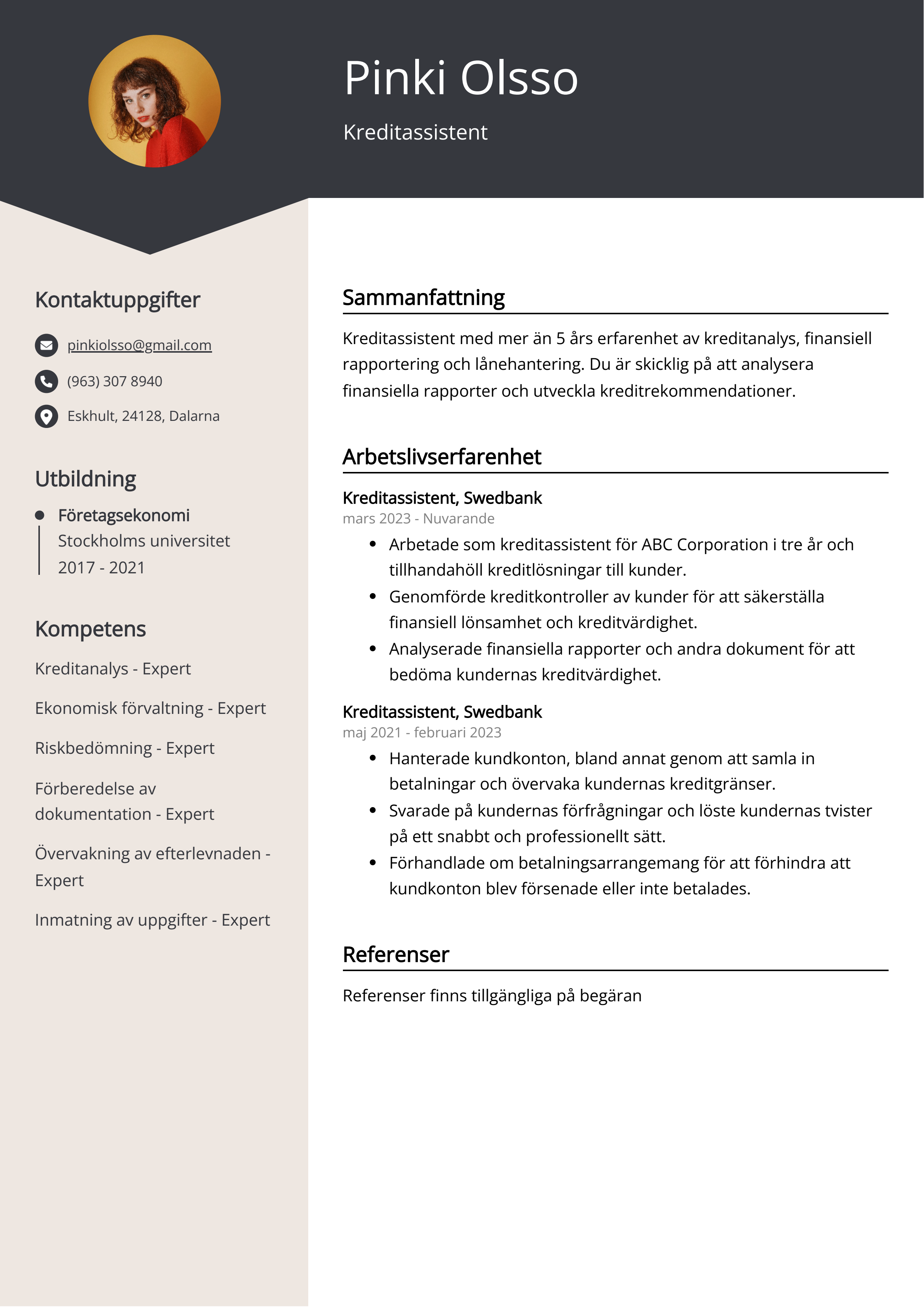 Kreditassistent CV Exempel