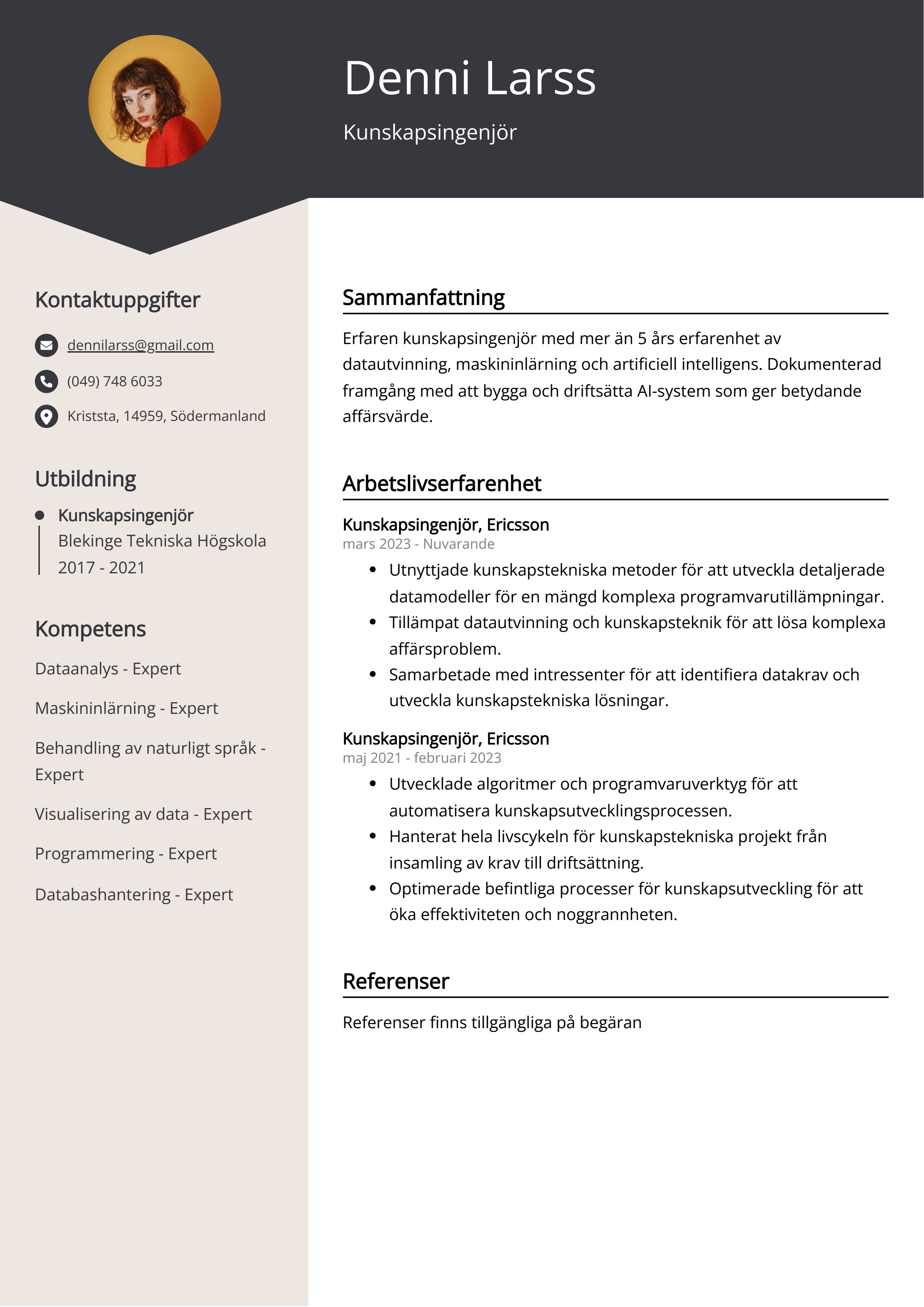 Kunskapsingenjör CV Exempel