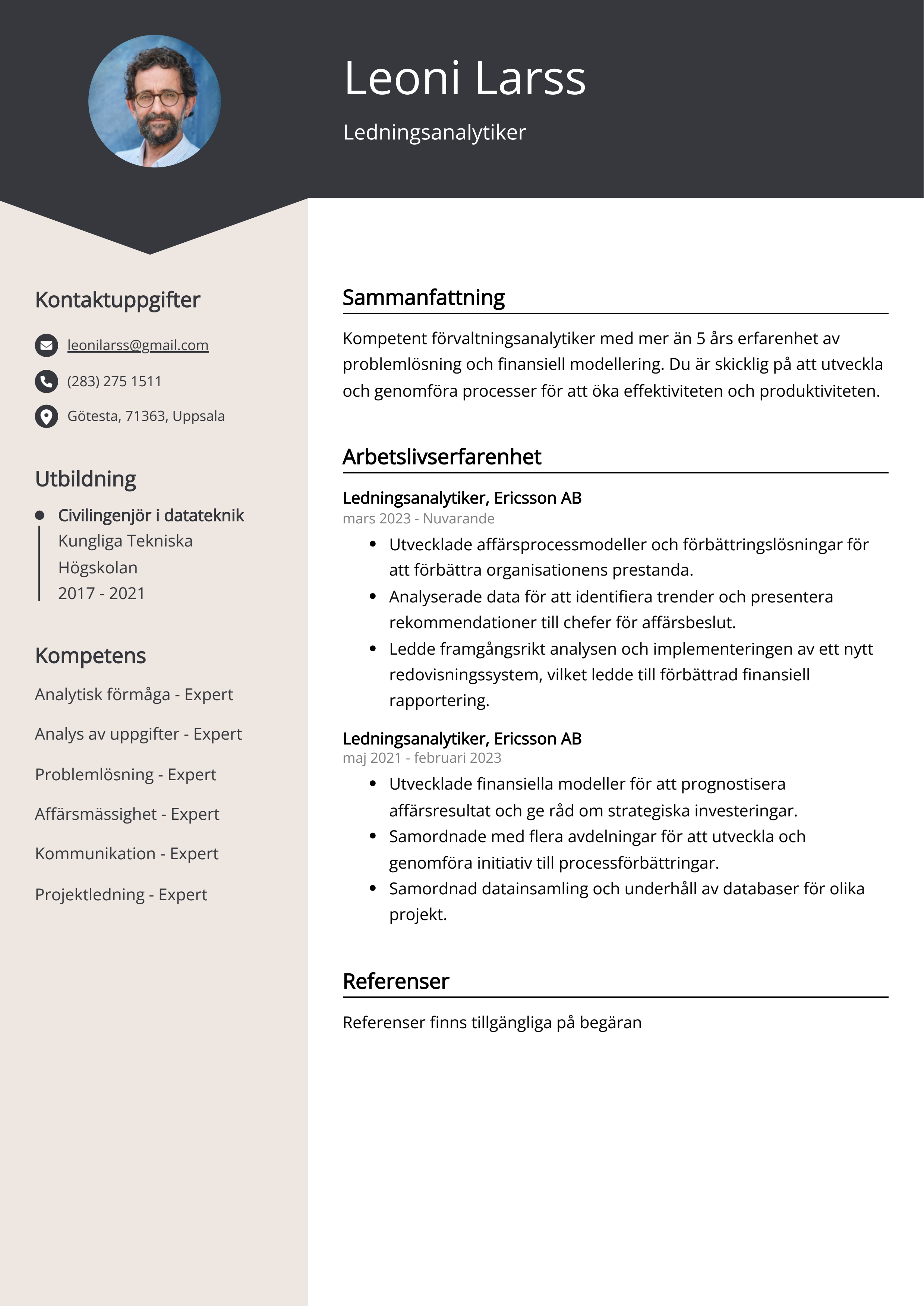 Ledningsanalytiker CV Exempel