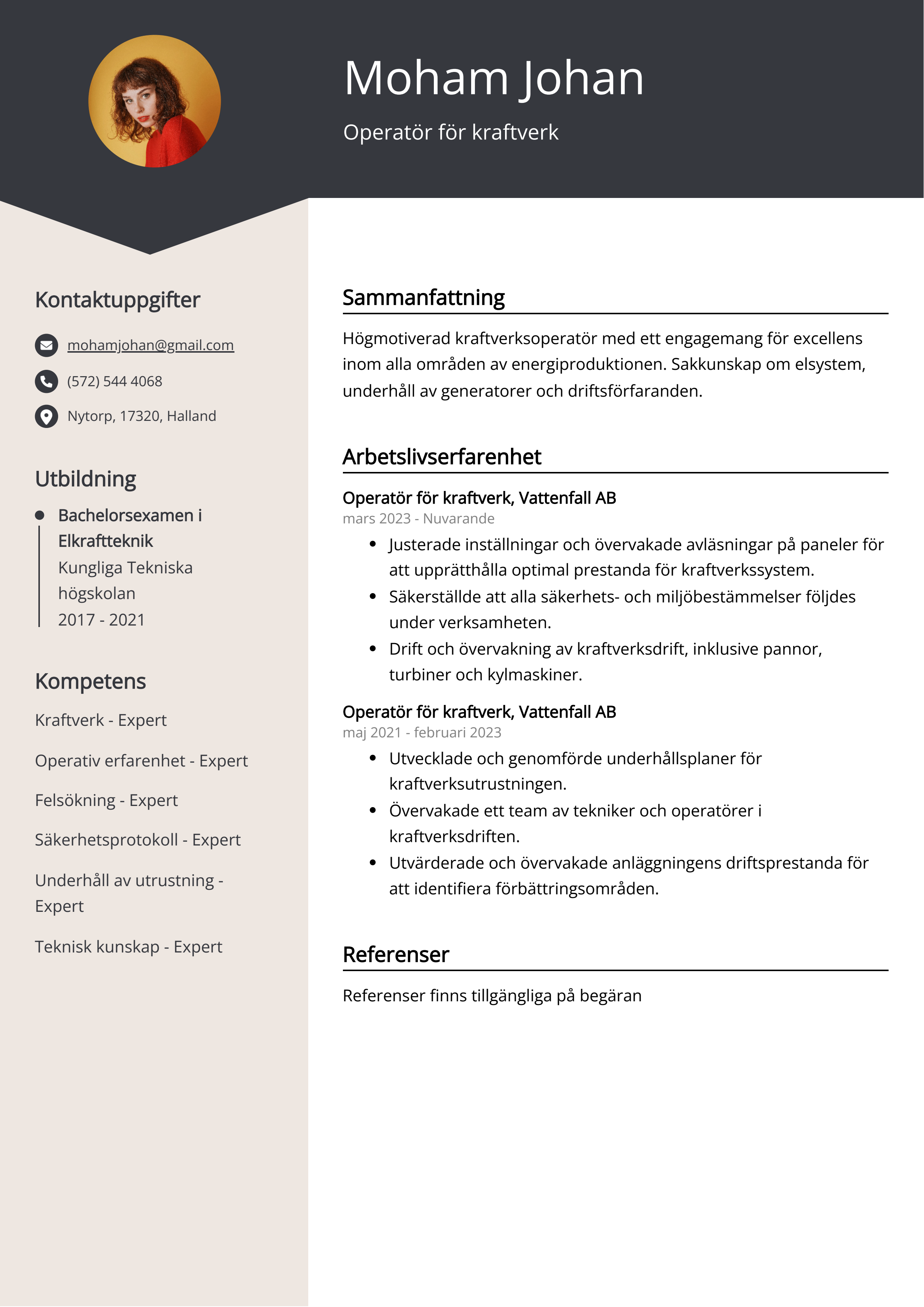 Operatör för kraftverk Exempel på CV